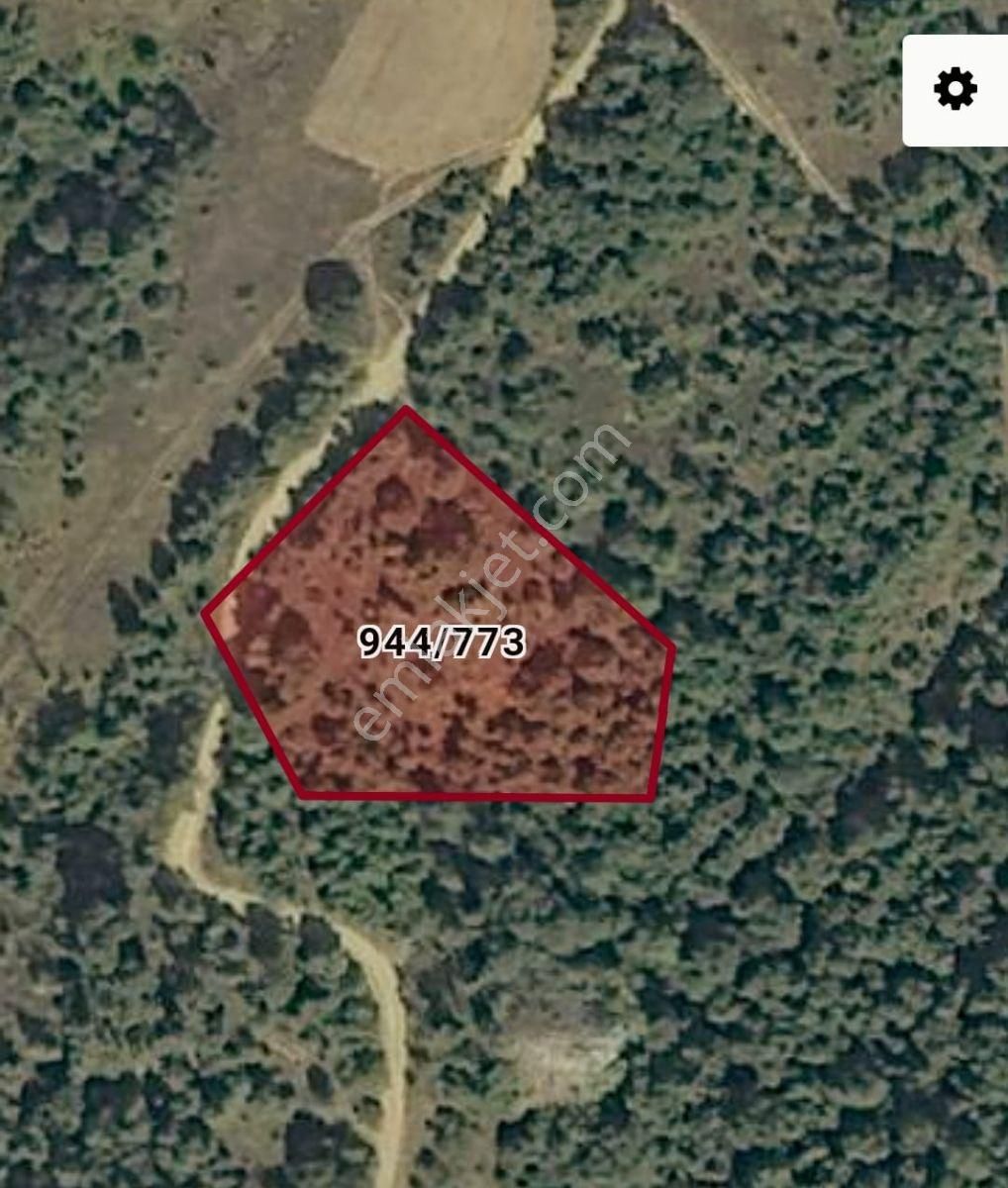 İznik Derbentte Göl Manzaralı Yola Cephe Satılık Tarla