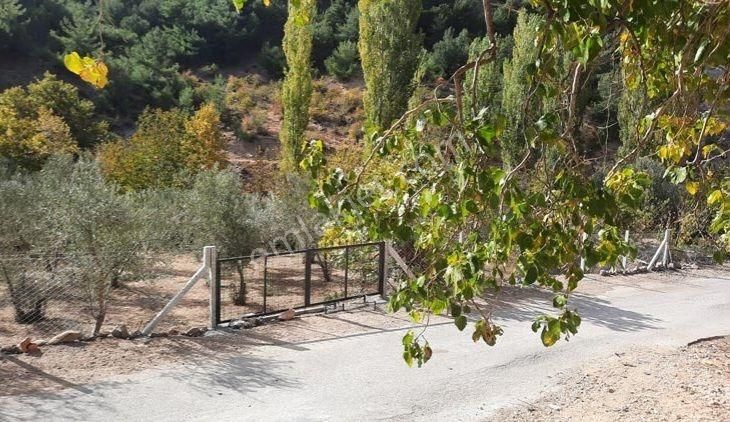 Çanakkale Ayvacık Kestanelik Köyü Satılık 1520 M2 Köy İçi Bahçe. - Görsel 18