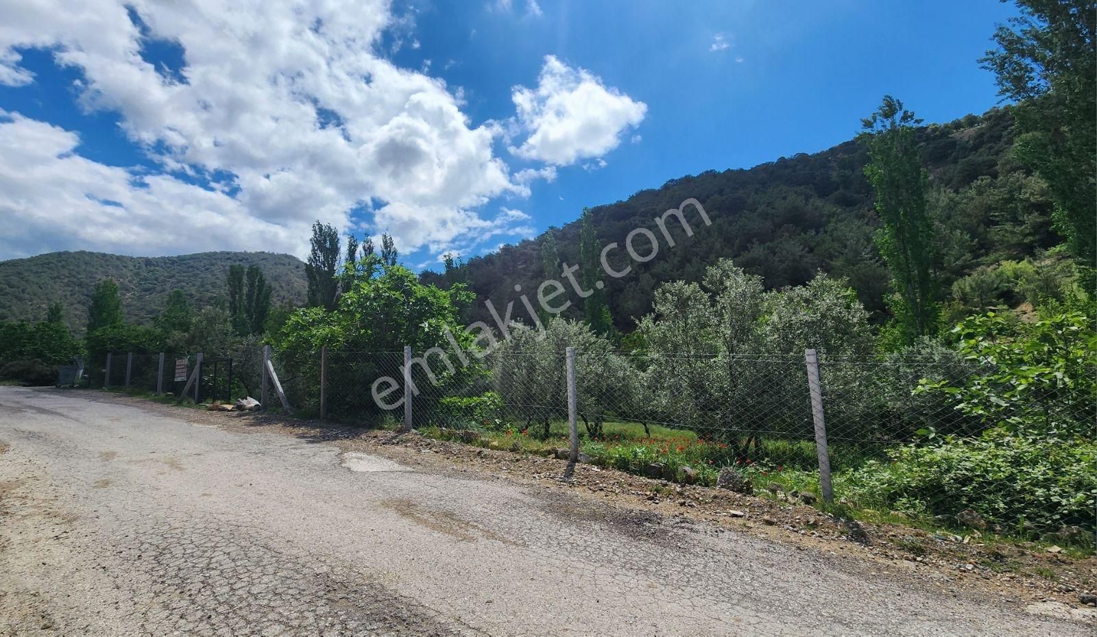 Çanakkale Ayvacık Kestanelik Köyü Satılık 1520 M2 Köy İçi Bahçe. - Görsel 15