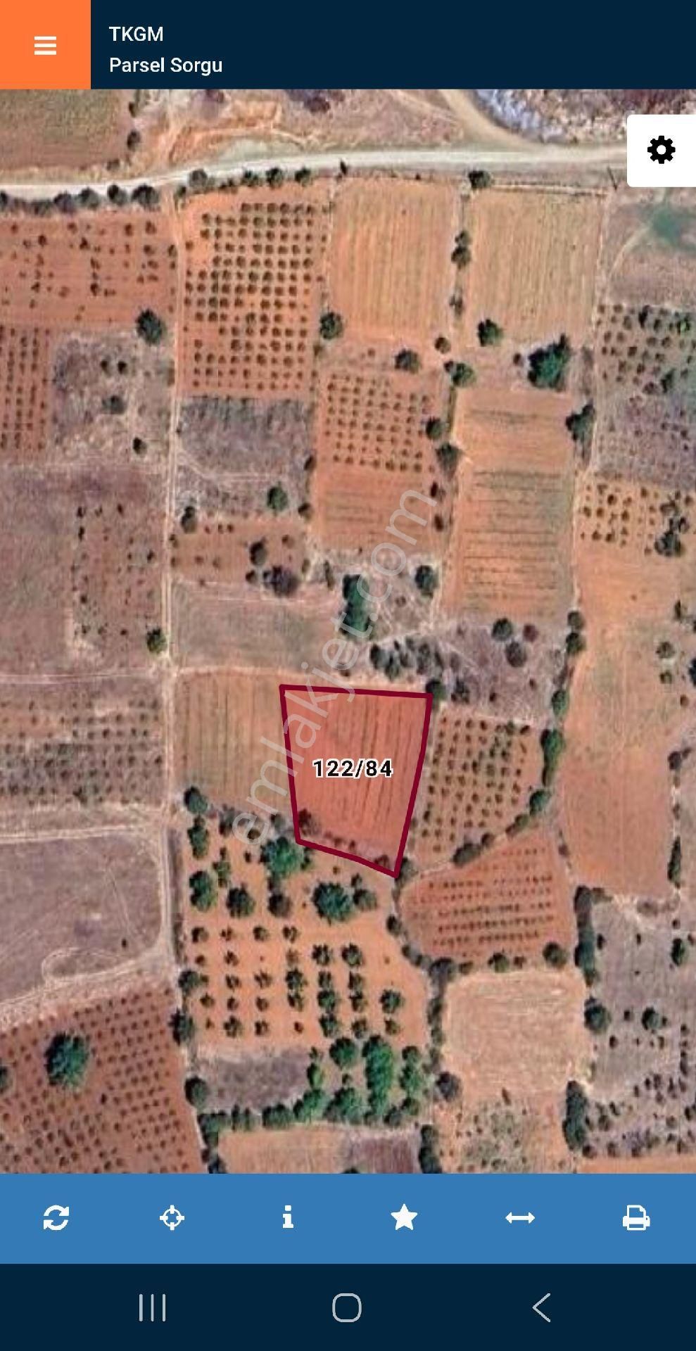 Denizli Bekilli Üçkuyu'da Köy Yakını 1.386 M2 Uygun Güzel Bağ. Açıklamayı Okuyunuz. - Görsel 3