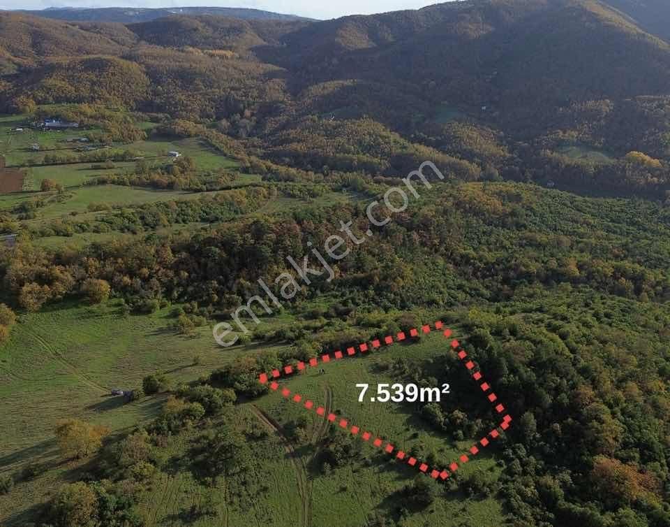 Dağyenice Göl Ve Atlas Manzalı Kupon Arazi - Görsel 2