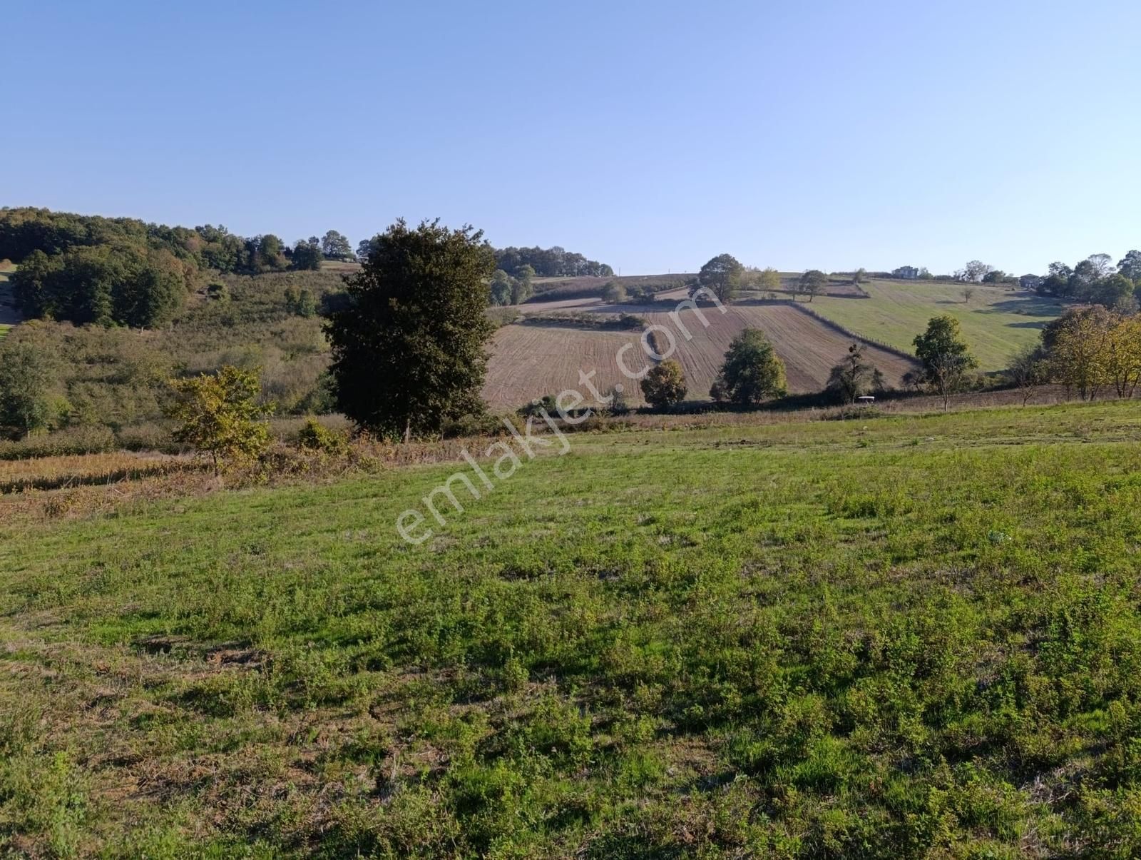 Karamanlarda Yatırımlık , Tarıma Uygun 1.068 M2 Tarla - Görsel 20