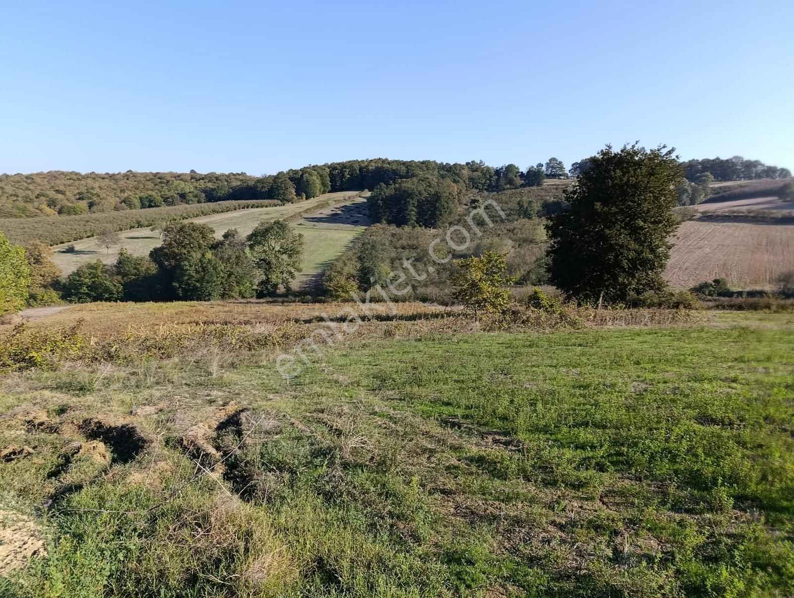 Karamanlarda Yatırımlık , Tarıma Uygun 1.068 M2 Tarla - Görsel 11