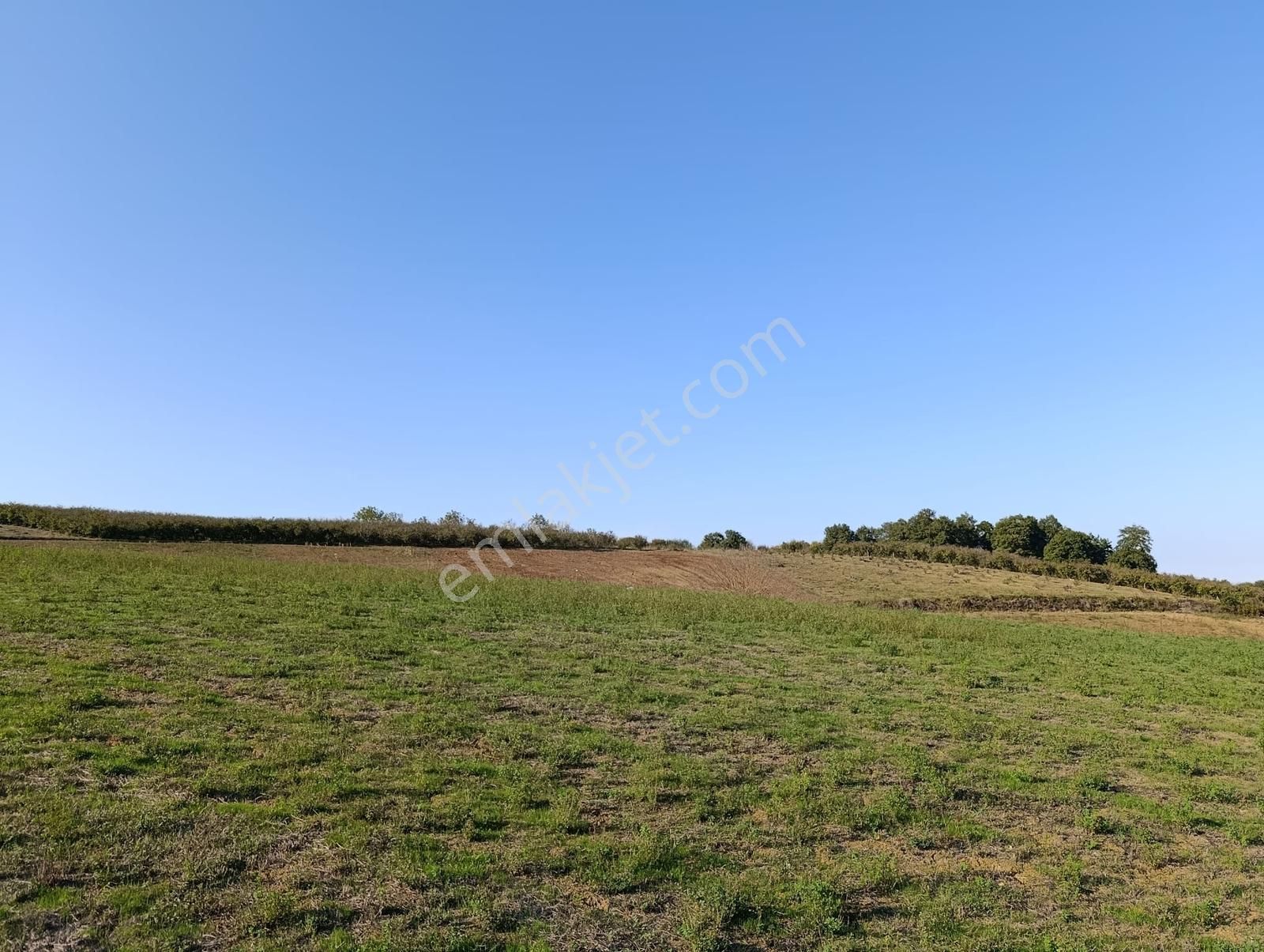 Karamanlarda Yatırımlık , Tarıma Uygun 1.068 M2 Tarla - Görsel 9