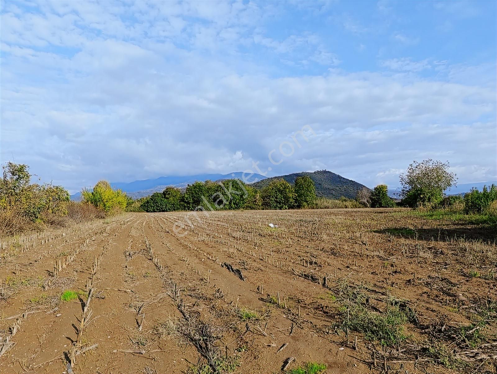 D-100 Karayoluna 100 Metre ! Salihiyede 11.577 M2 Satılık Arsa - Görsel 24