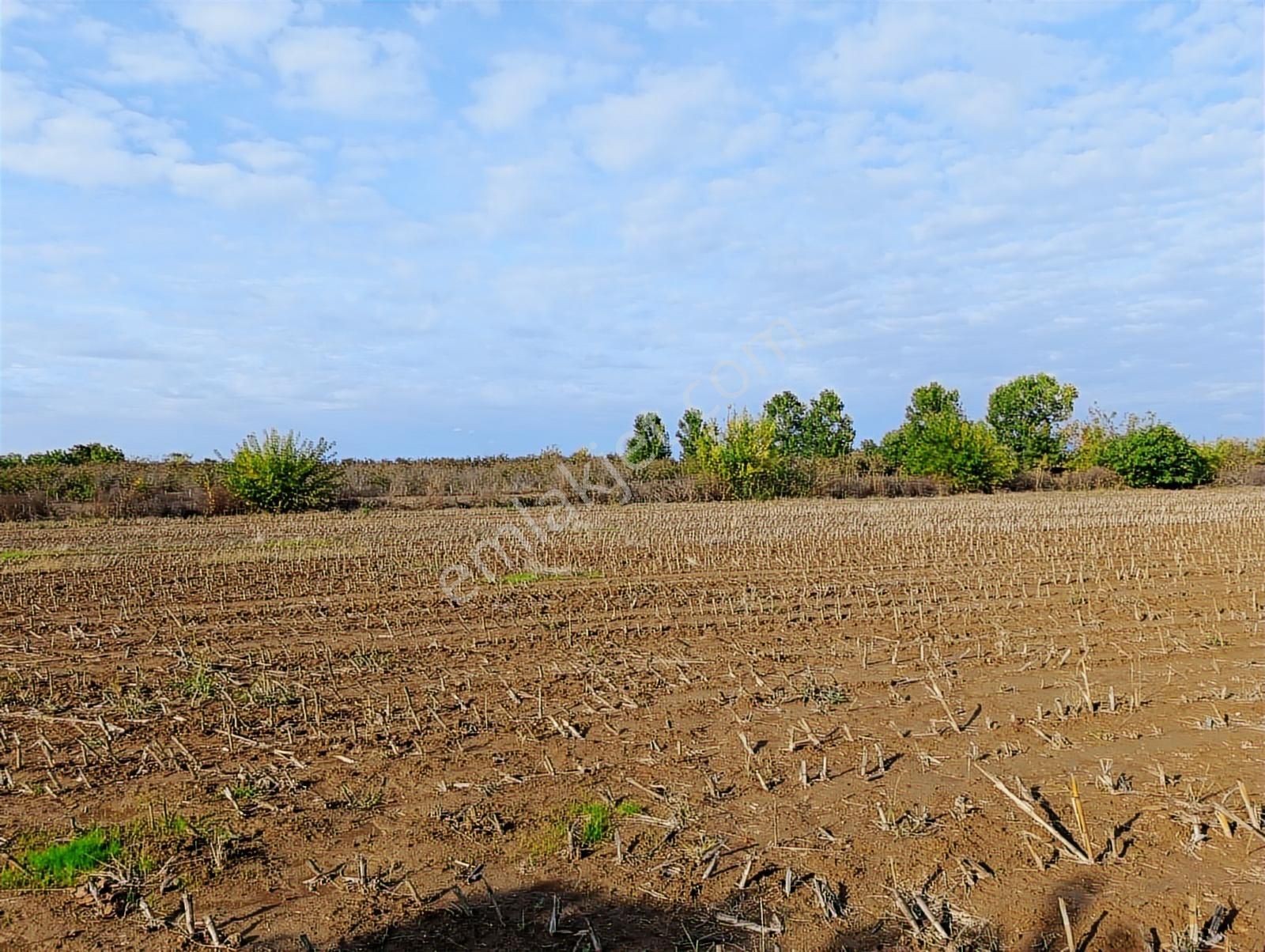 D-100 Karayoluna 100 Metre ! Salihiyede 11.577 M2 Satılık Arsa - Görsel 10