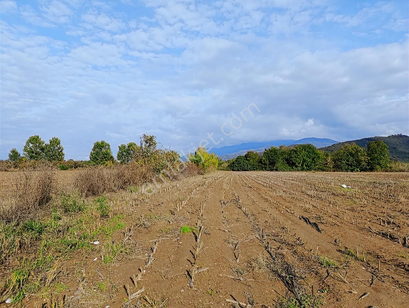 D-100 Karayoluna 100 Metre ! Salihiyede 11.577 M2 Satılık Arsa - Görsel 26