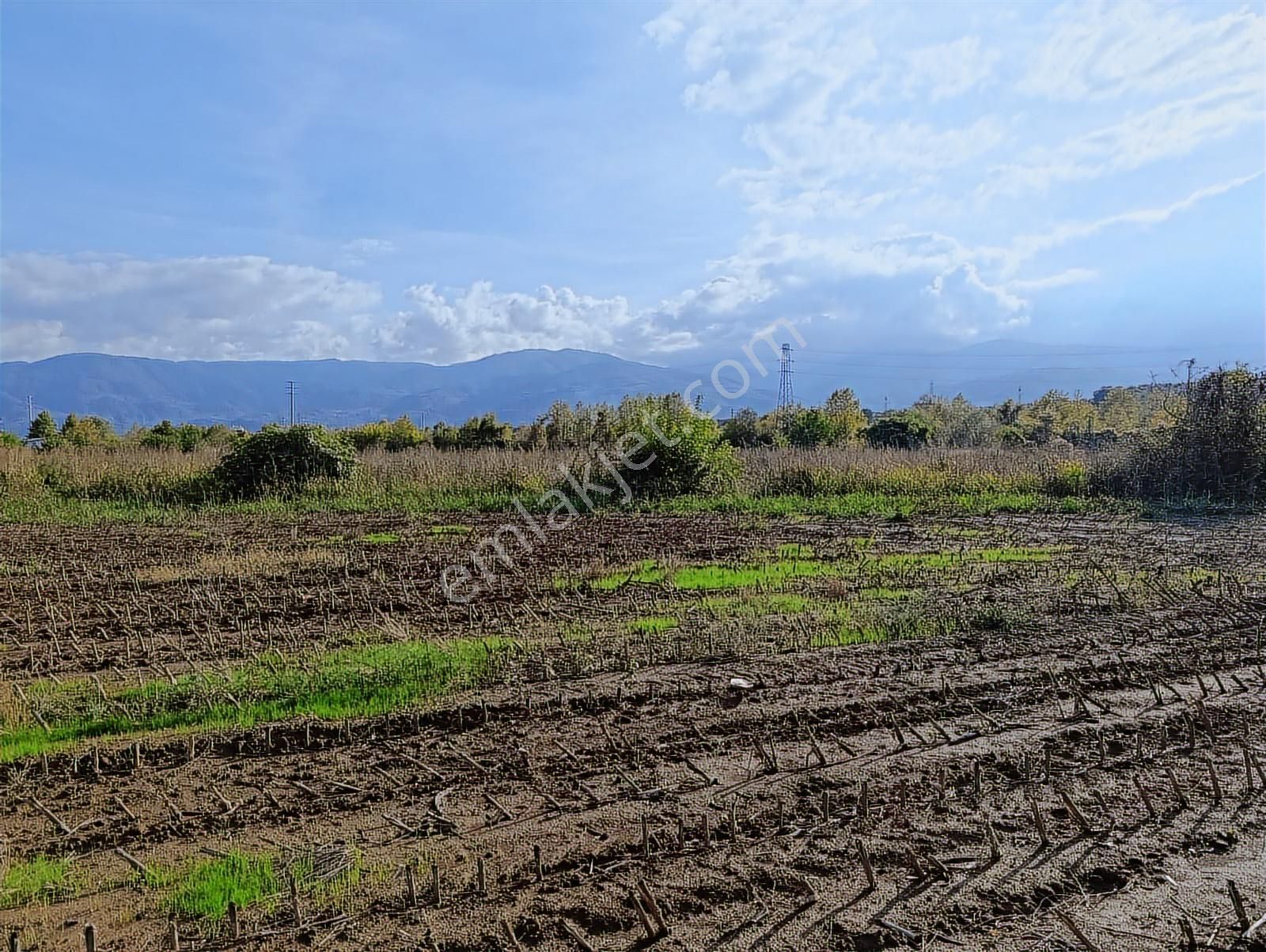 D-100 Karayoluna 100 Metre ! Salihiyede 11.577 M2 Satılık Arsa - Görsel 2