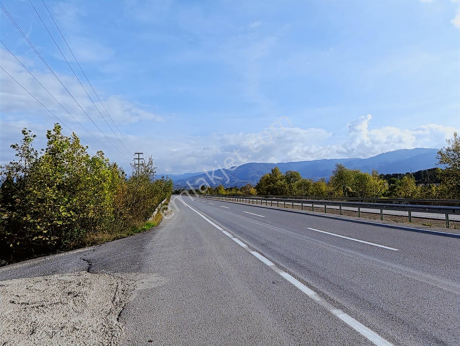 D-100 Karayoluna 100 Metre ! Salihiyede 11.577 M2 Satılık Arsa