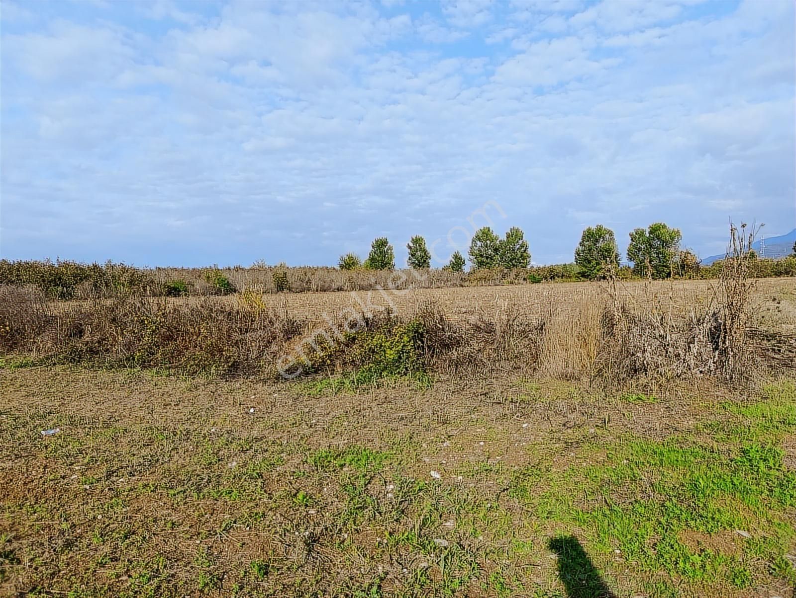 D-100 Karayoluna 100 Metre ! Salihiyede 11.577 M2 Satılık Arsa - Görsel 12