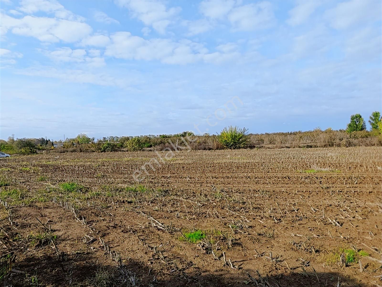 D-100 Karayoluna 100 Metre ! Salihiyede 11.577 M2 Satılık Arsa - Görsel 17
