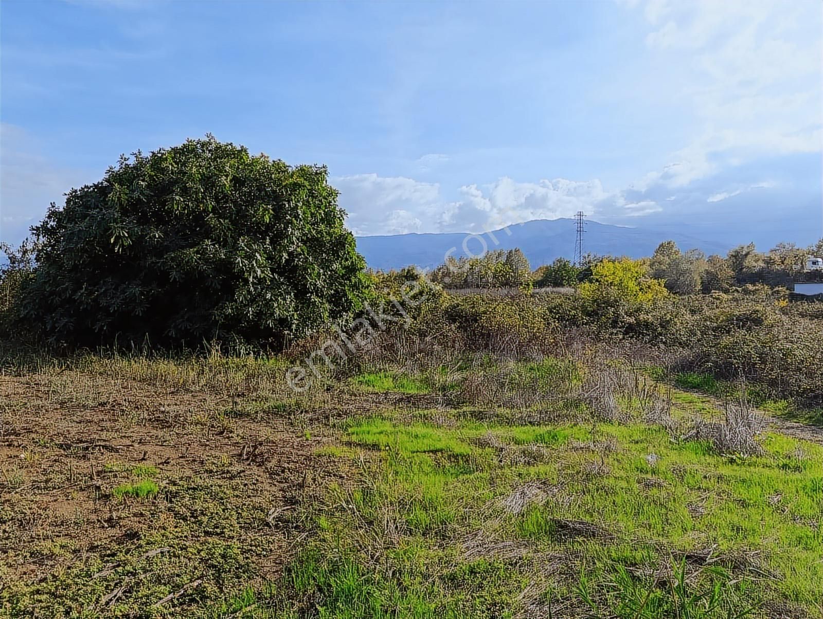 D-100 Karayoluna 100 Metre ! Salihiyede 11.577 M2 Satılık Arsa - Görsel 22