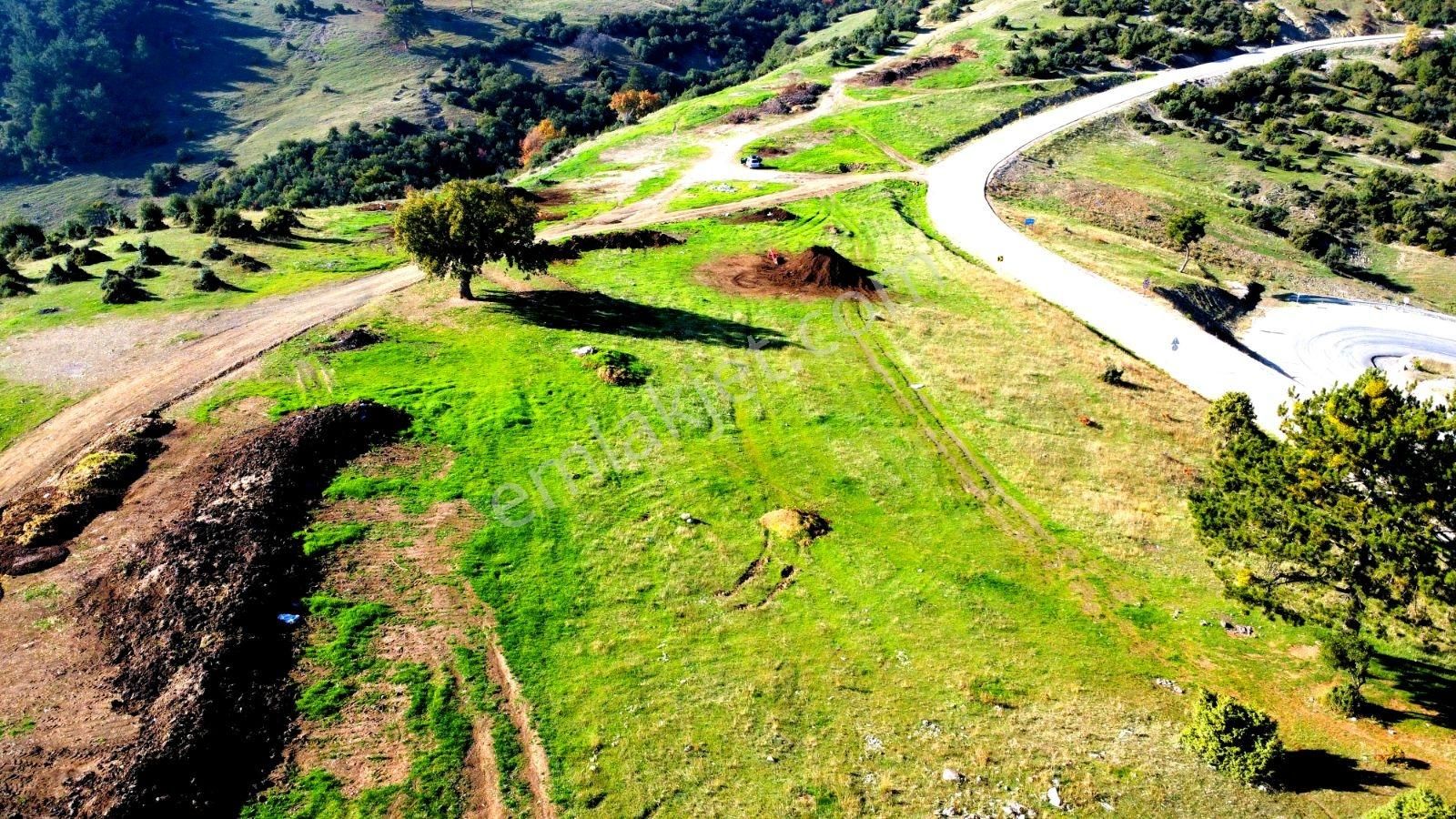 Gürsu Dışkaya Da Yeni İmar Alanına Yakın Ana Yol Üzeri 9.200 M² - Görsel 4