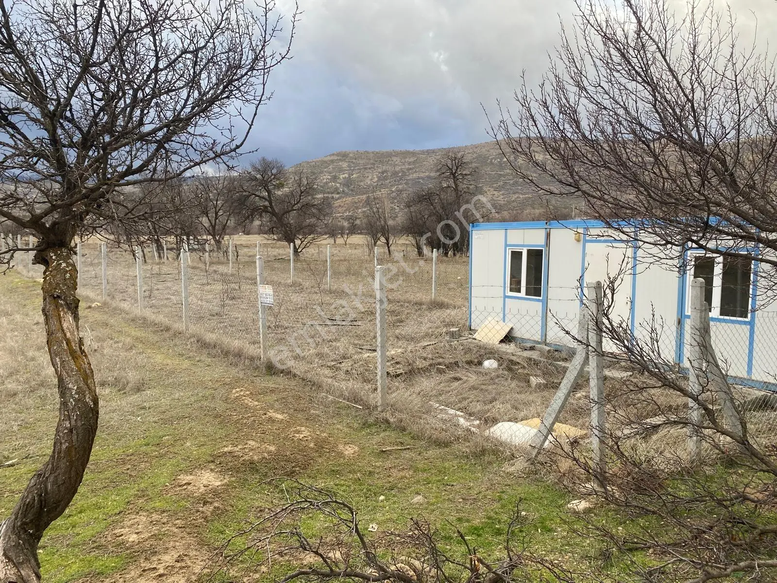 Küçükmuhsine De 325 M Hazır Bahçe
