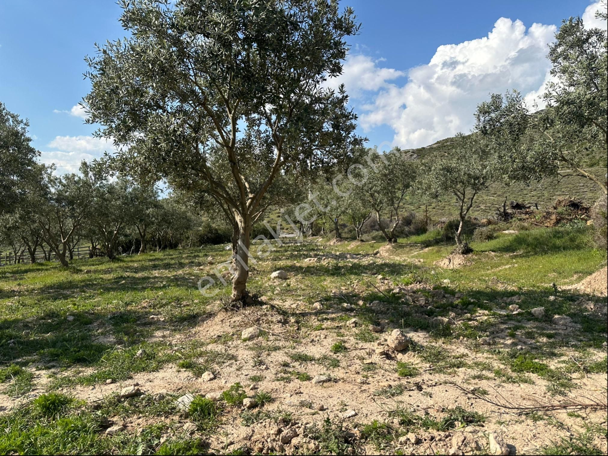 Sarıçalı Mahallesinde Satılık Hesaplı İmarlı Arsa - Görsel 17