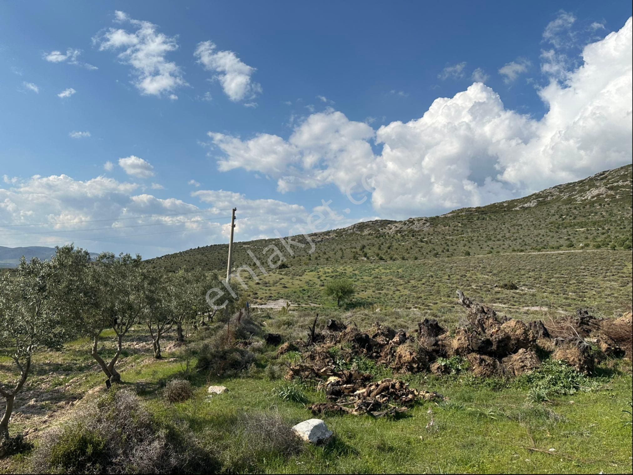 Sarıçalı Mahallesinde Satılık Hesaplı İmarlı Arsa - Görsel 4