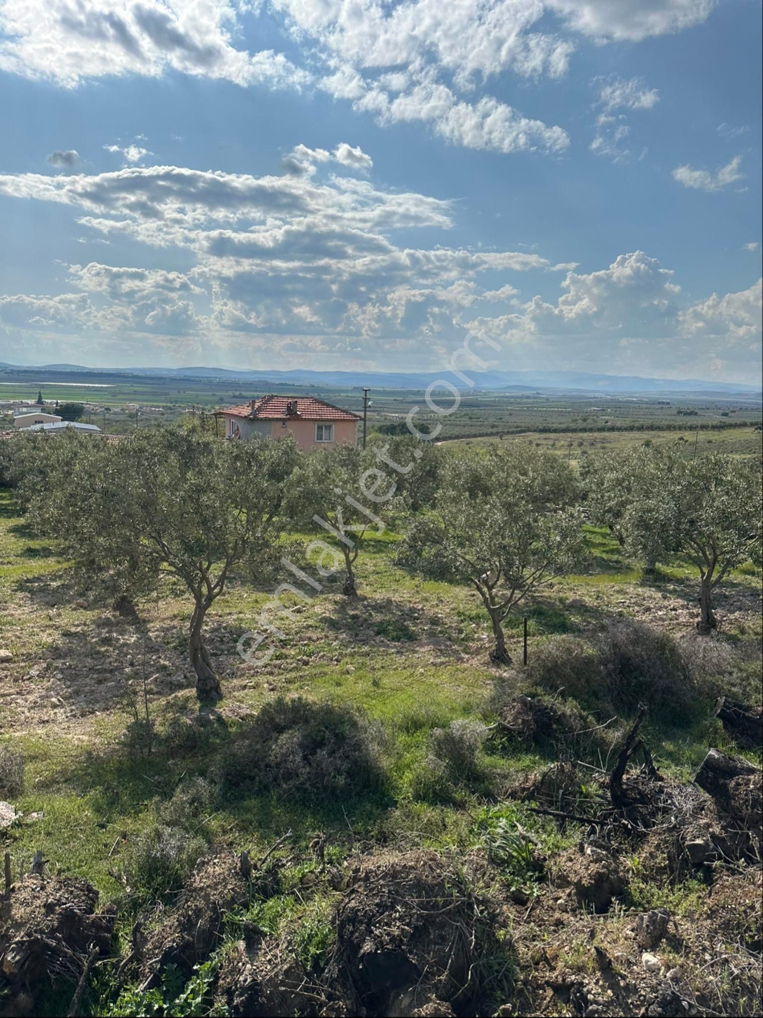 Sarıçalı Mahallesinde Satılık Hesaplı İmarlı Arsa - Görsel 11