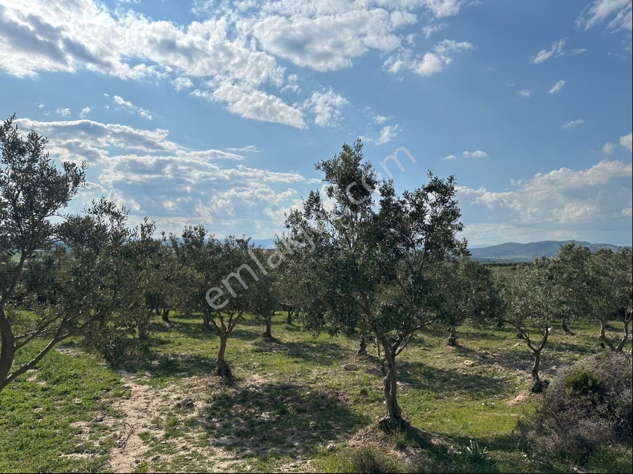 Sarıçalı Mahallesinde Satılık Hesaplı İmarlı Arsa - Görsel 7