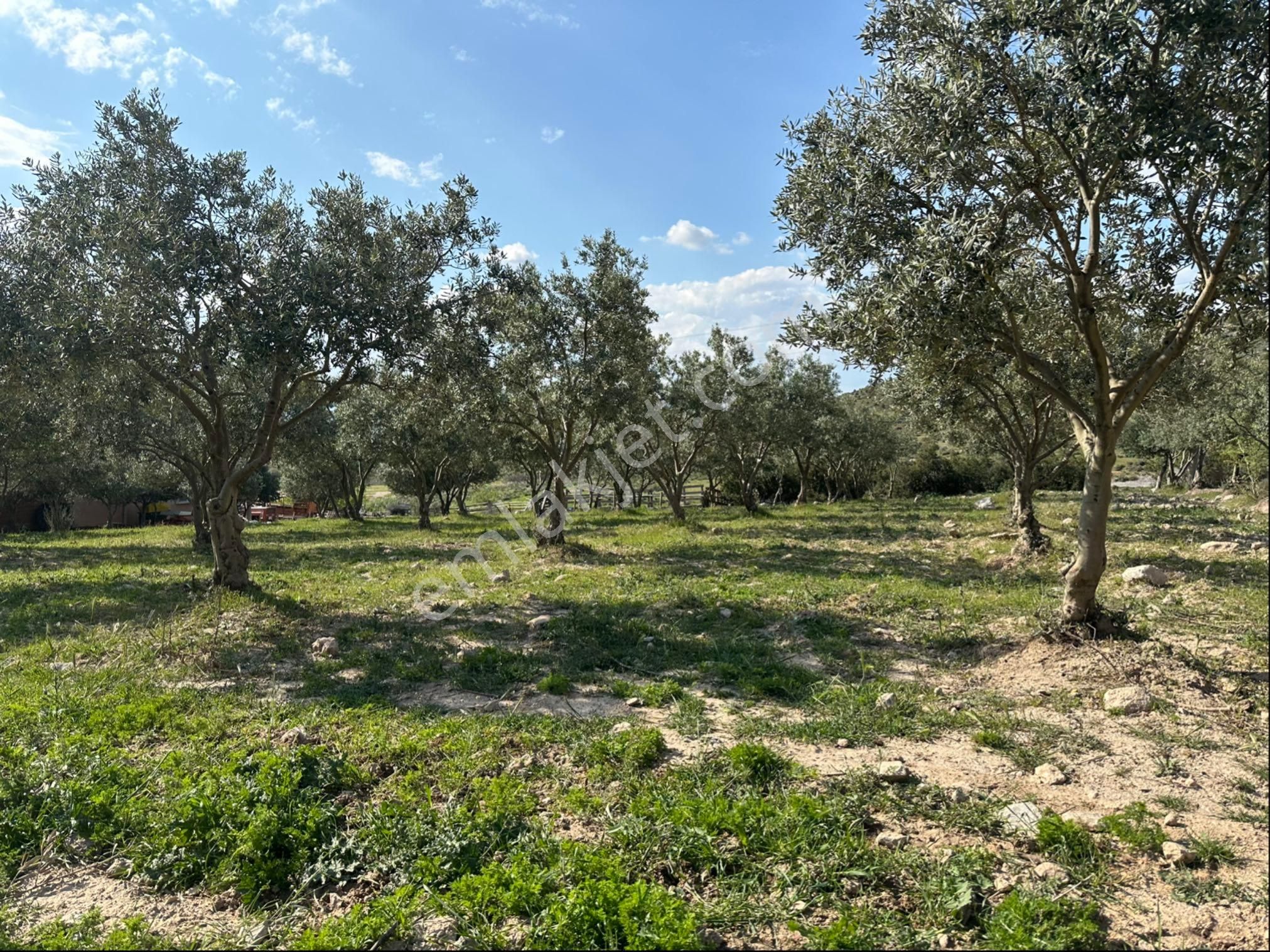 Sarıçalı Mahallesinde Satılık Hesaplı İmarlı Arsa - Görsel 15