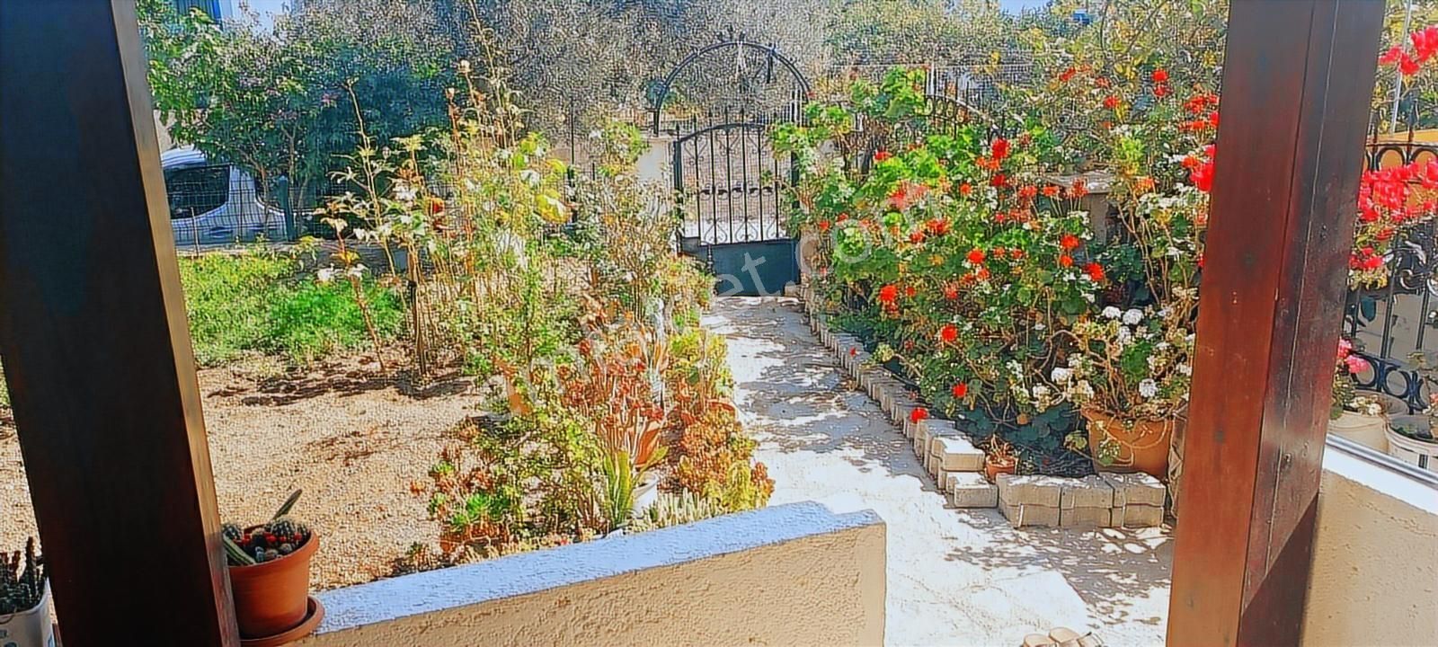 Bodrum Akyarlar Da Müstakil Bahçeli Villa - Görsel 8