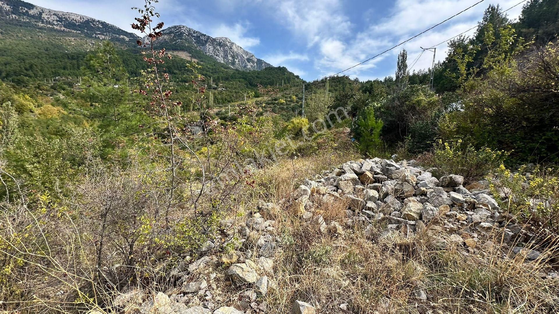 625 M² Satılık Yerimiz - Görsel 9