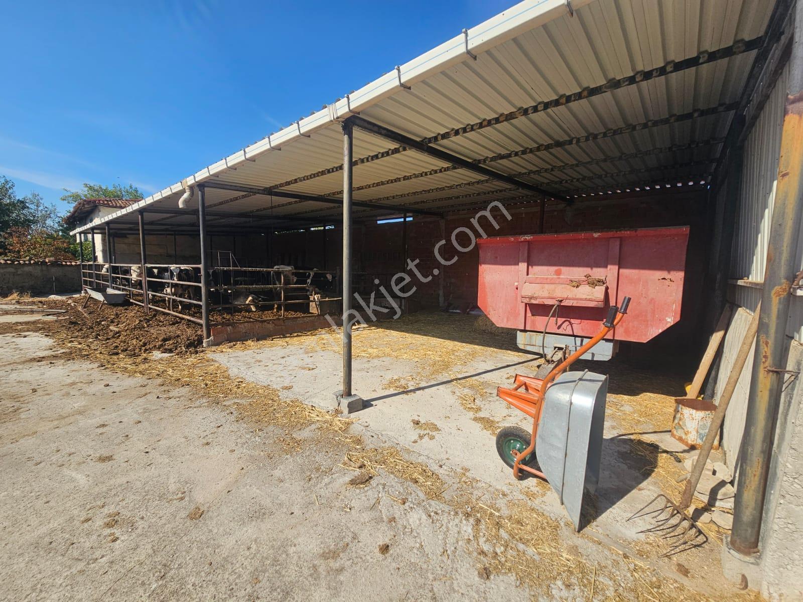 Elfi Den Halalca Mahallesinde 1498m2 Arsa Ve Kargır Ev - Görsel 9