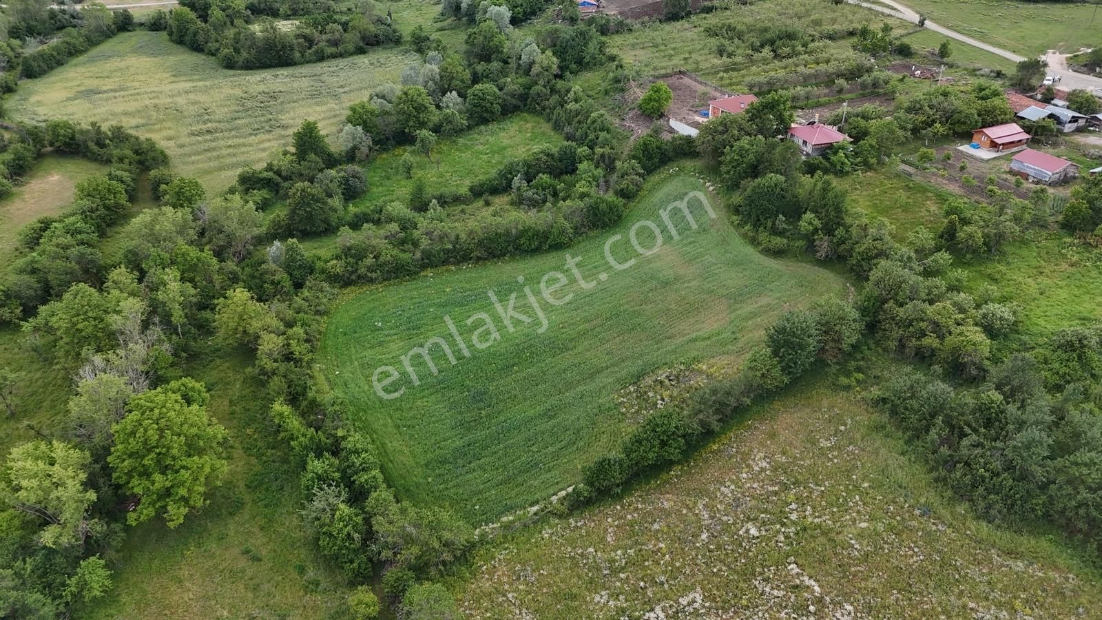 Kastamonu Emlak Gayrimenkul'den Satılık Şeyh Köyü Araziler - Görsel 31