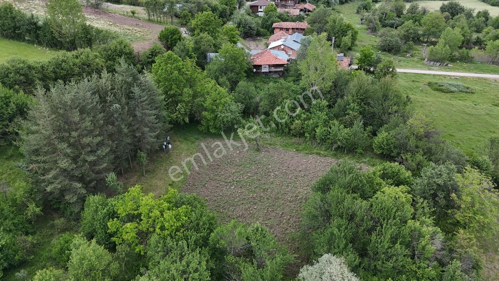 Kastamonu Emlak Gayrimenkul'den Satılık Şeyh Köyü Araziler - Görsel 32