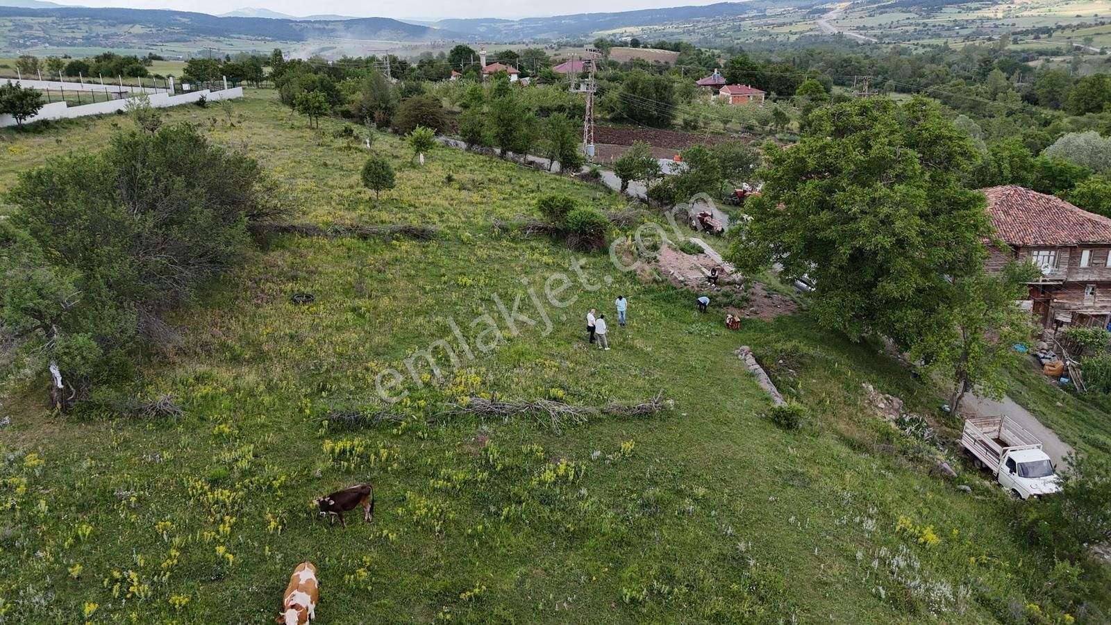Kastamonu Emlak Gayrimenkul'den Satılık Şeyh Köyü Araziler - Görsel 12