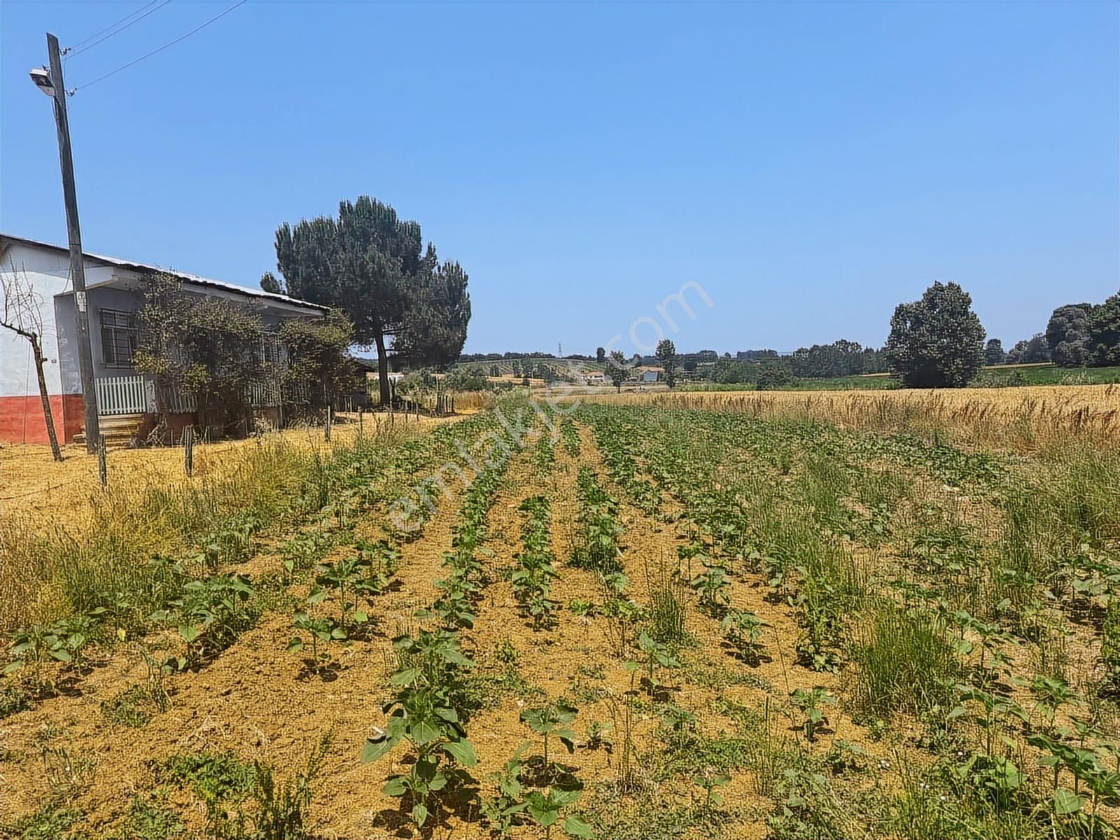Aşırlarda Mükemmel Konum ! Yol Kenarı Evlerin Yanında Tarla - Görsel 15