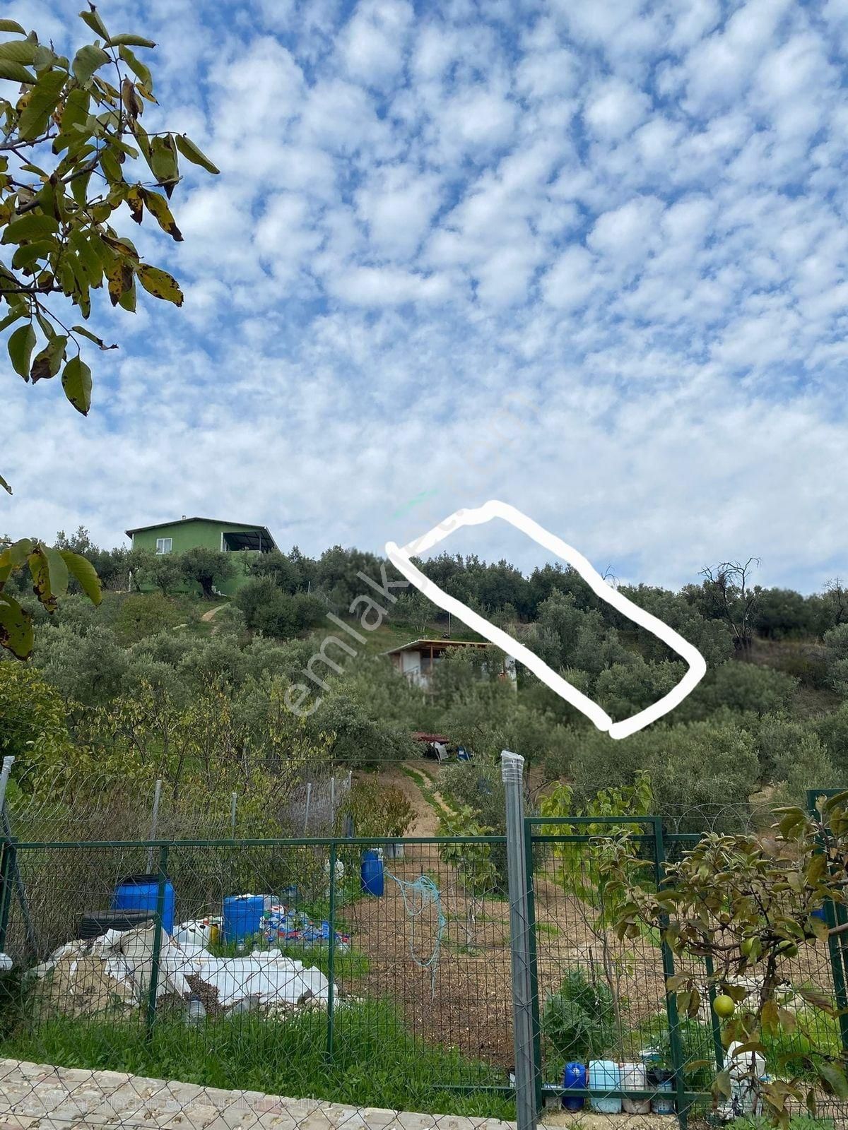Nilvest'den Mudanya Işıklıda Müstakil Tapulu Bahçe - Görsel 11
