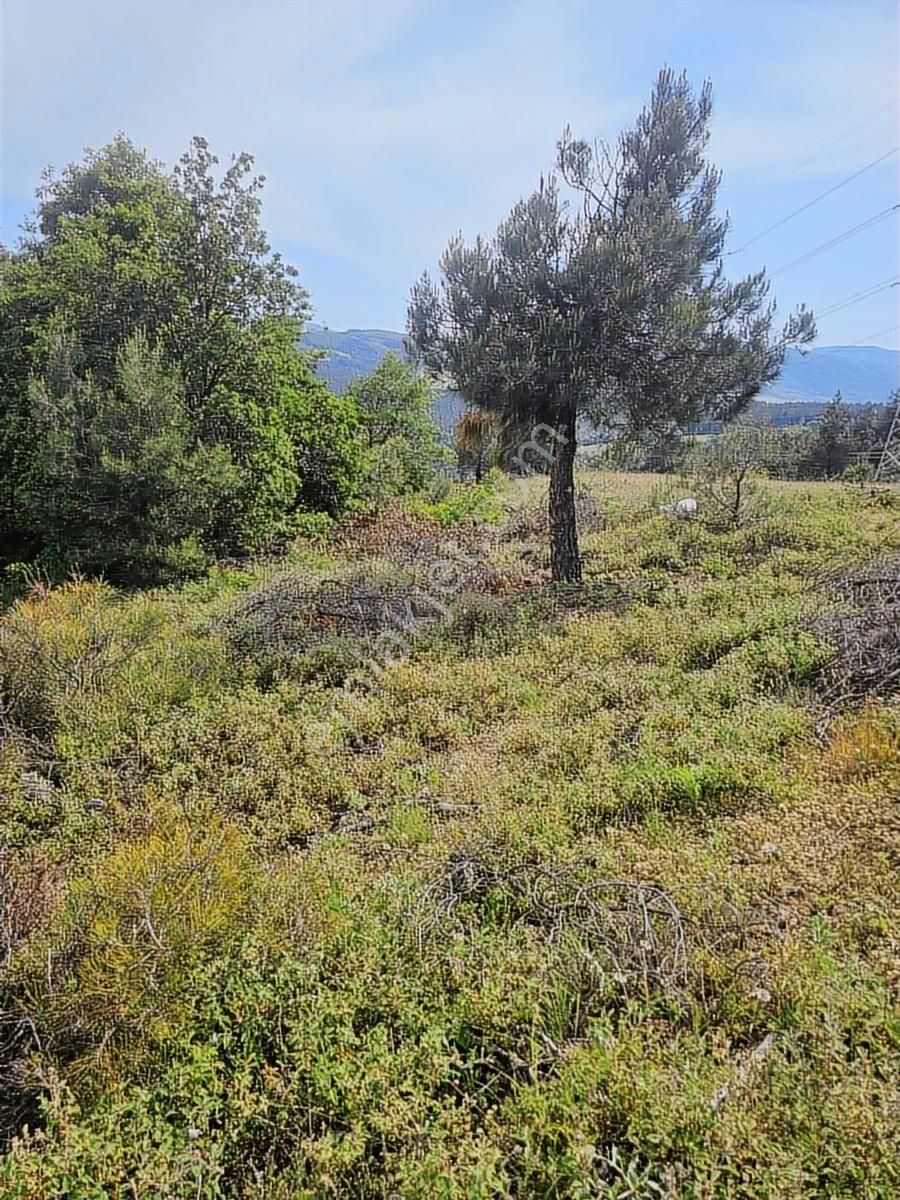 Nilvest'den Dağyenicede Eşsiz Manzarası İle Fırsat Arazi - Görsel 17