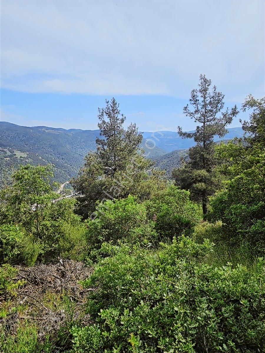Nilvest'den Dağyenicede Eşsiz Manzarası İle Fırsat Arazi - Görsel 3