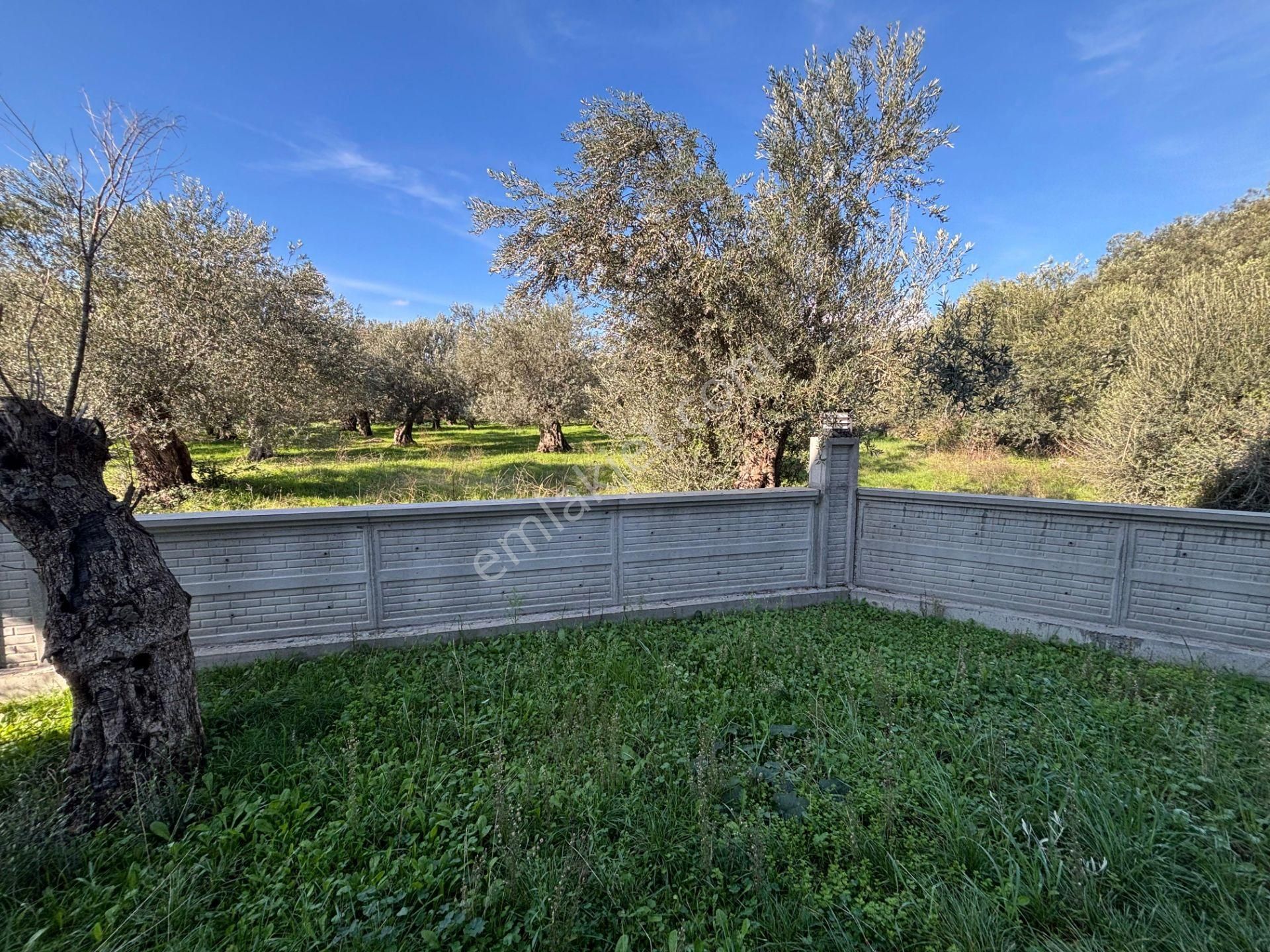 Yiğit'ten Küçükkuyu'da 2+1 Site İçerisinde Ayrı Mutfaklı Daire - Görsel 29