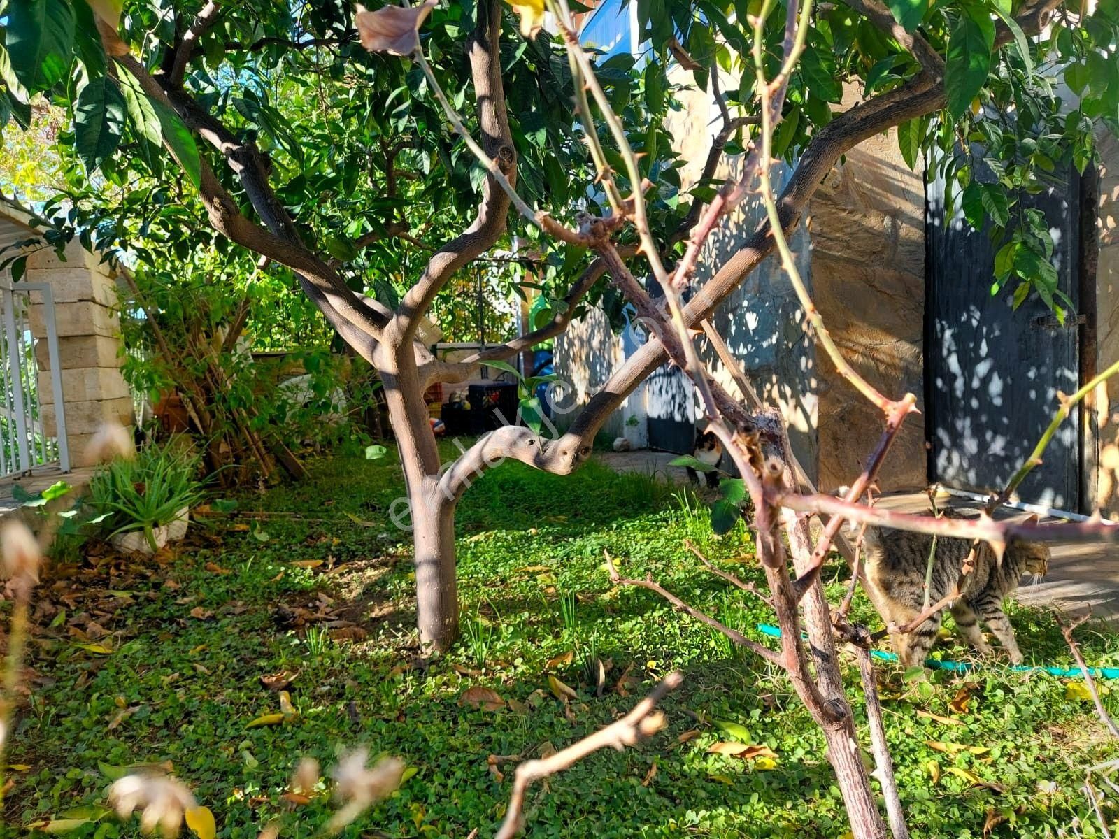 İzmi̇r Menderes Gümüldür De Satılık Müstaki̇l Yazlık Vi̇lla 4+1 - Görsel 8