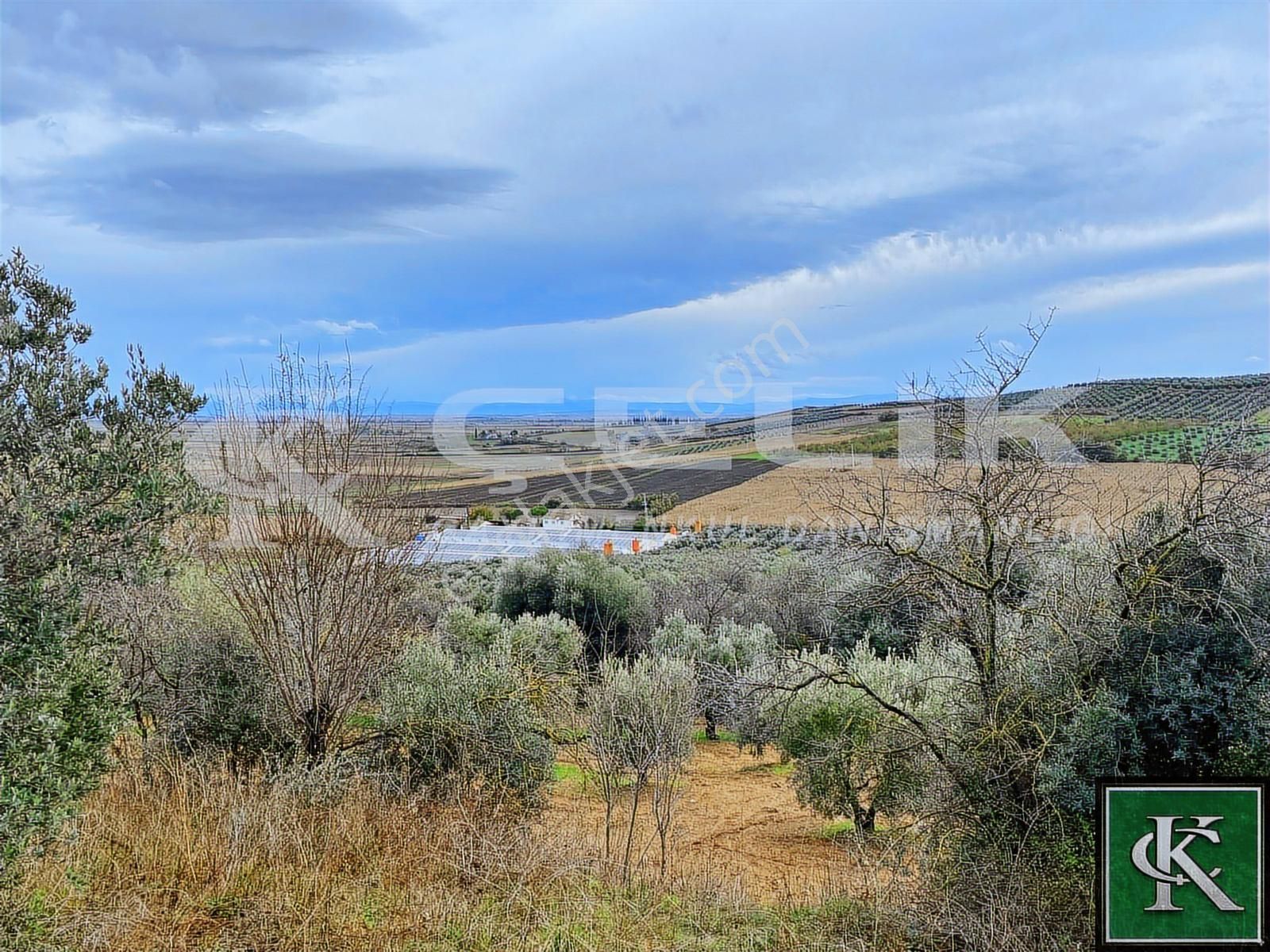 Çelik Emlaktan Danişment Köyünde 1200m2satılık Bakımlı Zeytinlik - Görsel 31