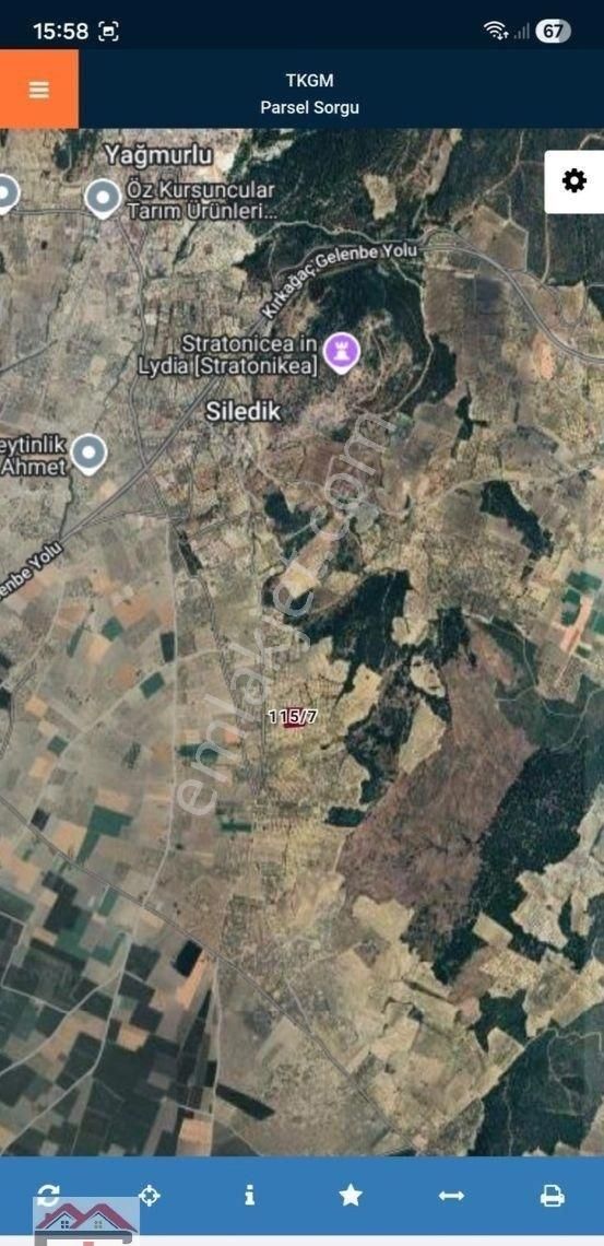 Manisa Kırkağaç Siledik Fahri Sertel Emlaktan Satılık Zeytinlik - Görsel 6