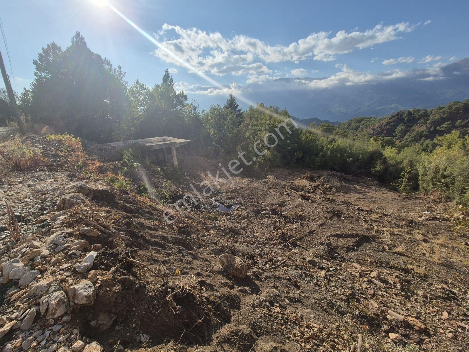 Erdoğan Emlak'tan Hayalinizdeki Doğal Yaşam Alanı - Görsel 3