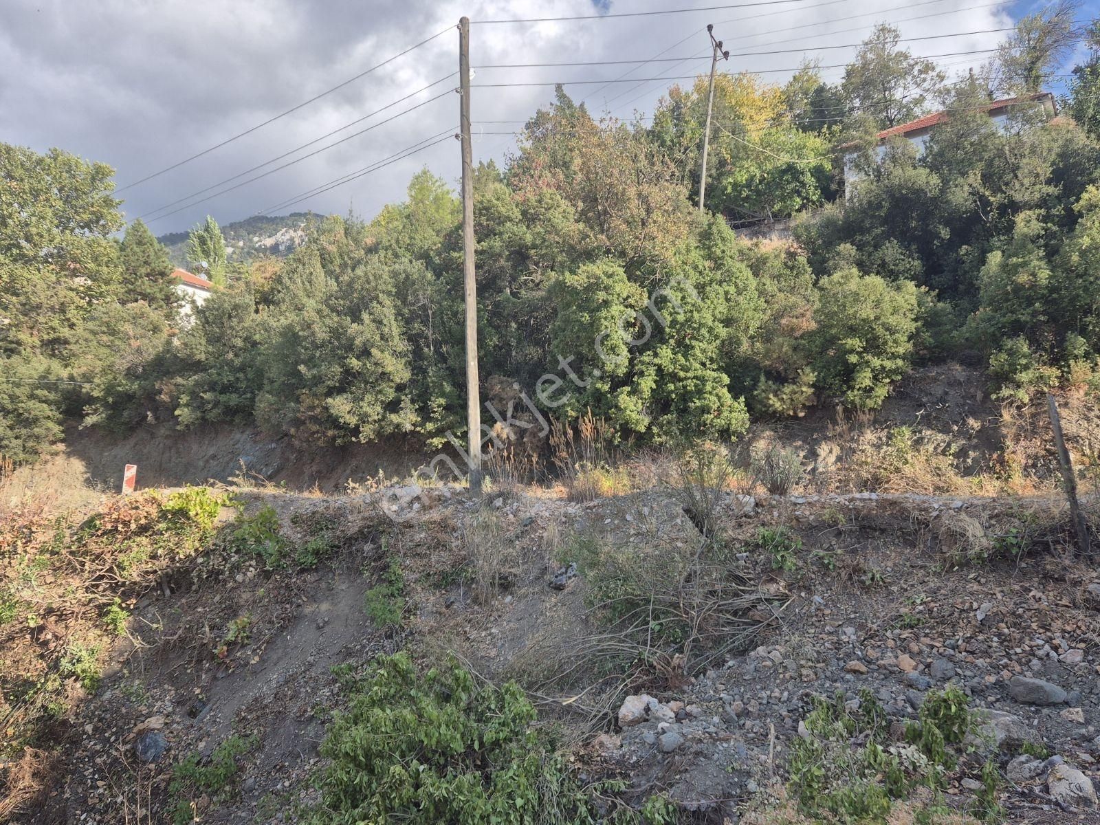 Erdoğan Emlak'tan Hayalinizdeki Doğal Yaşam Alanı - Görsel 10