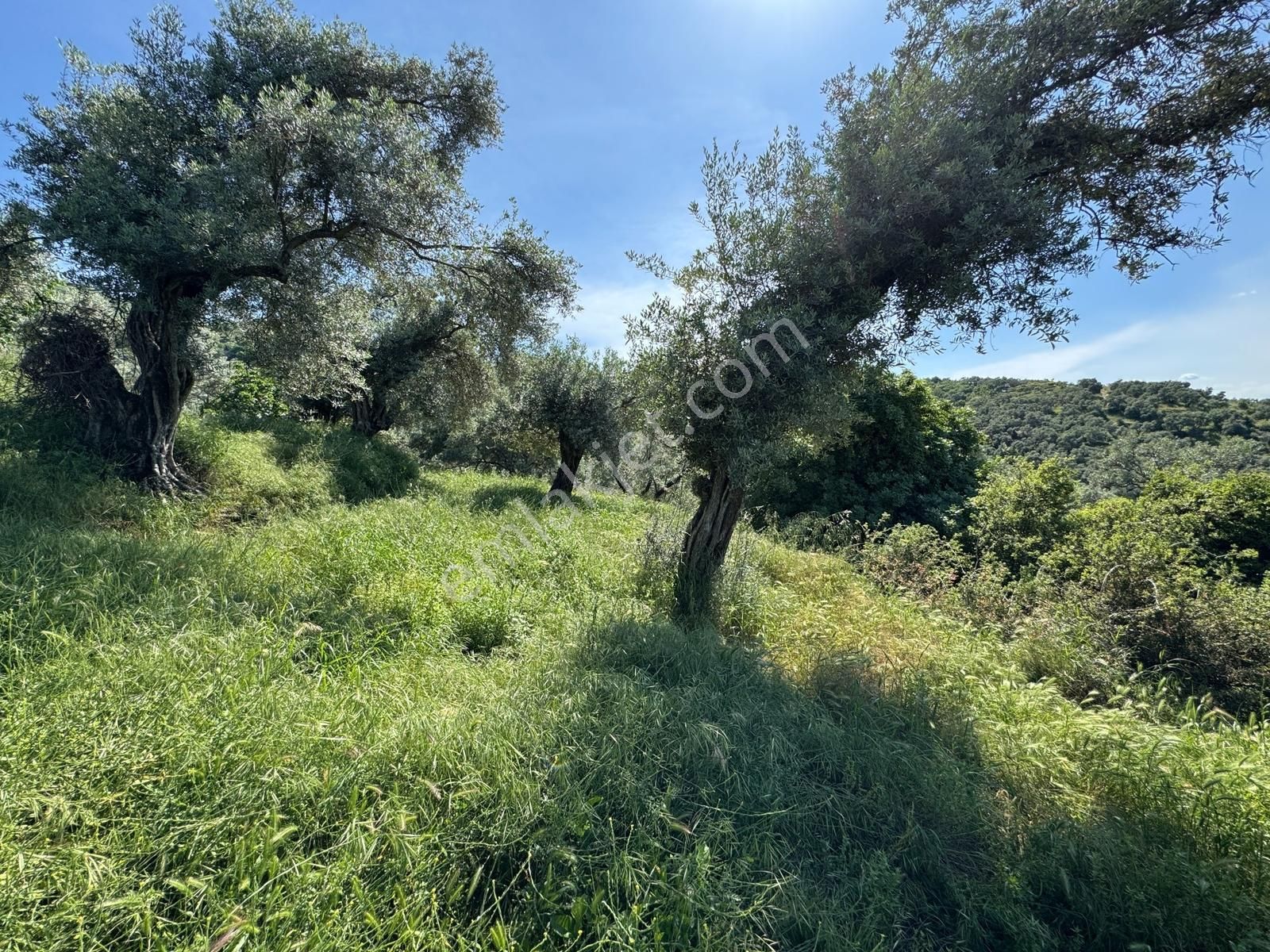 Kent Gayrimenkul'den Hisarlık'ta Satılık Arsa - Görsel 13