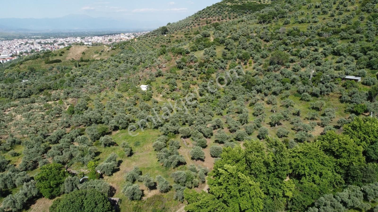 Kent Gayrimenkul'den Hisarlık'ta Satılık Arsa - Görsel 3