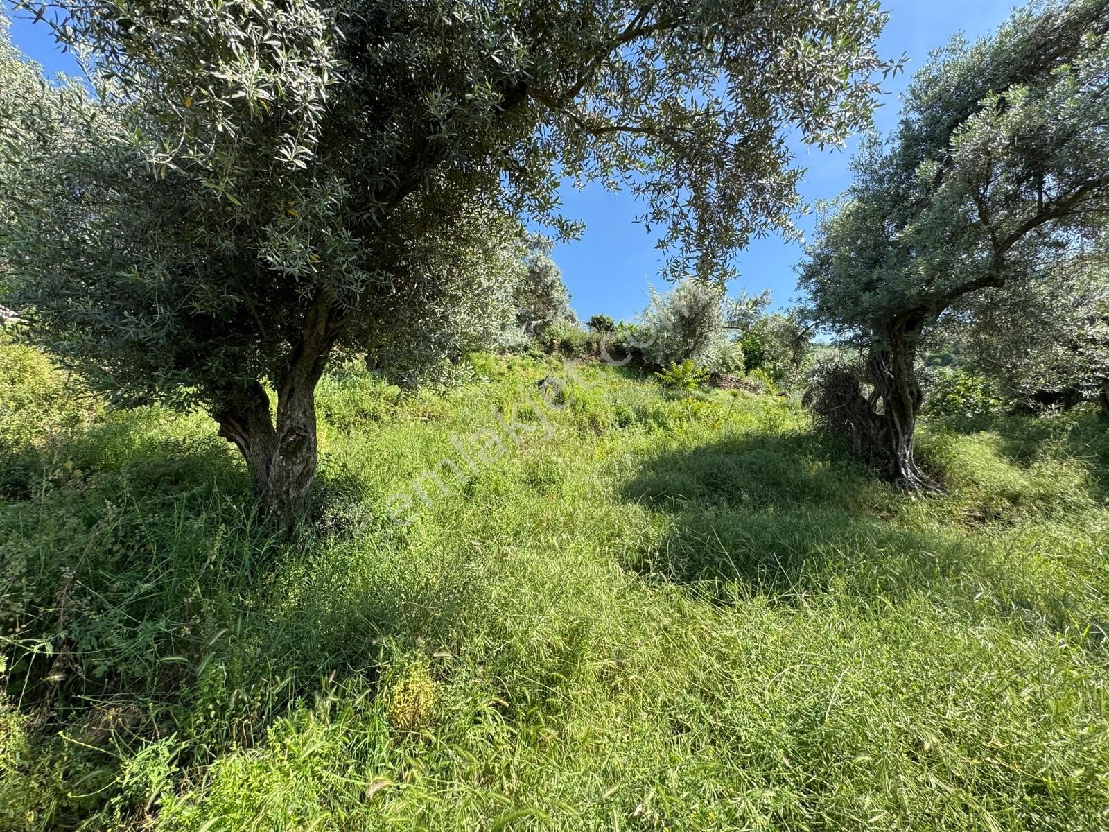 Kent Gayrimenkul'den Hisarlık'ta Satılık Arsa - Görsel 7