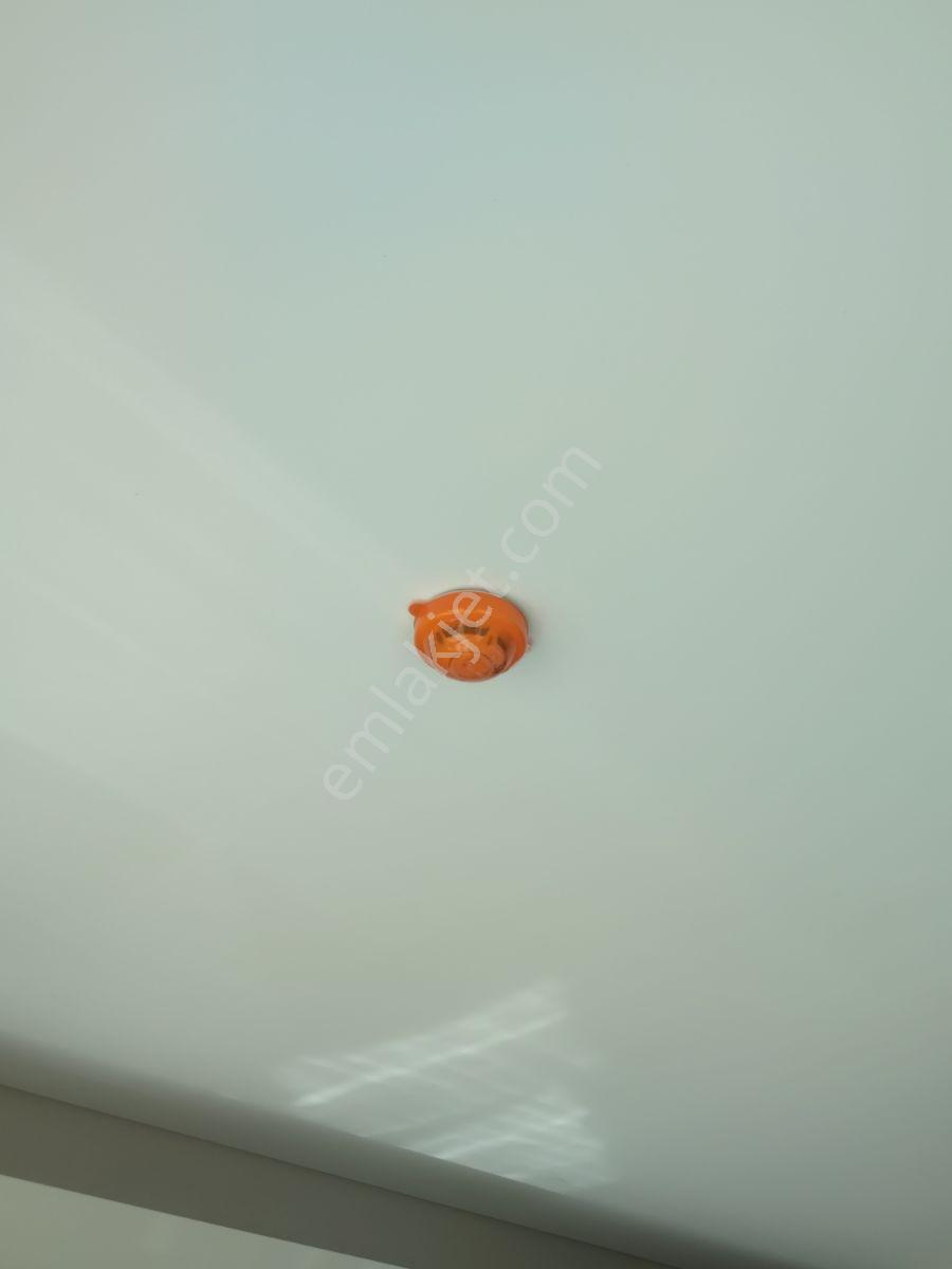 Mir'den Balıkesir Emlak Konut Tan Kiralık 2+1 Daire - Görsel 7