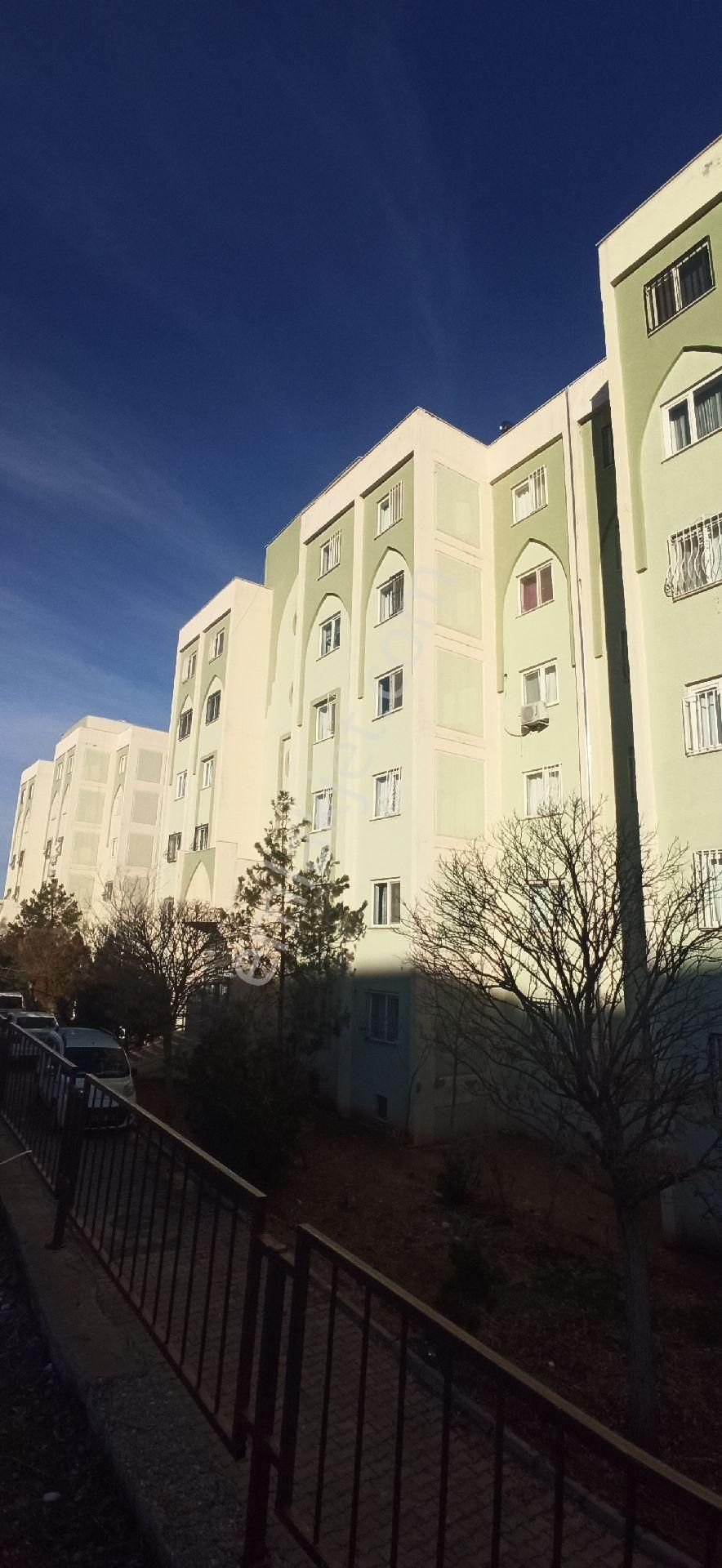 Kiralik Eşyali Daire Ermax Emlâk Tan 3+1