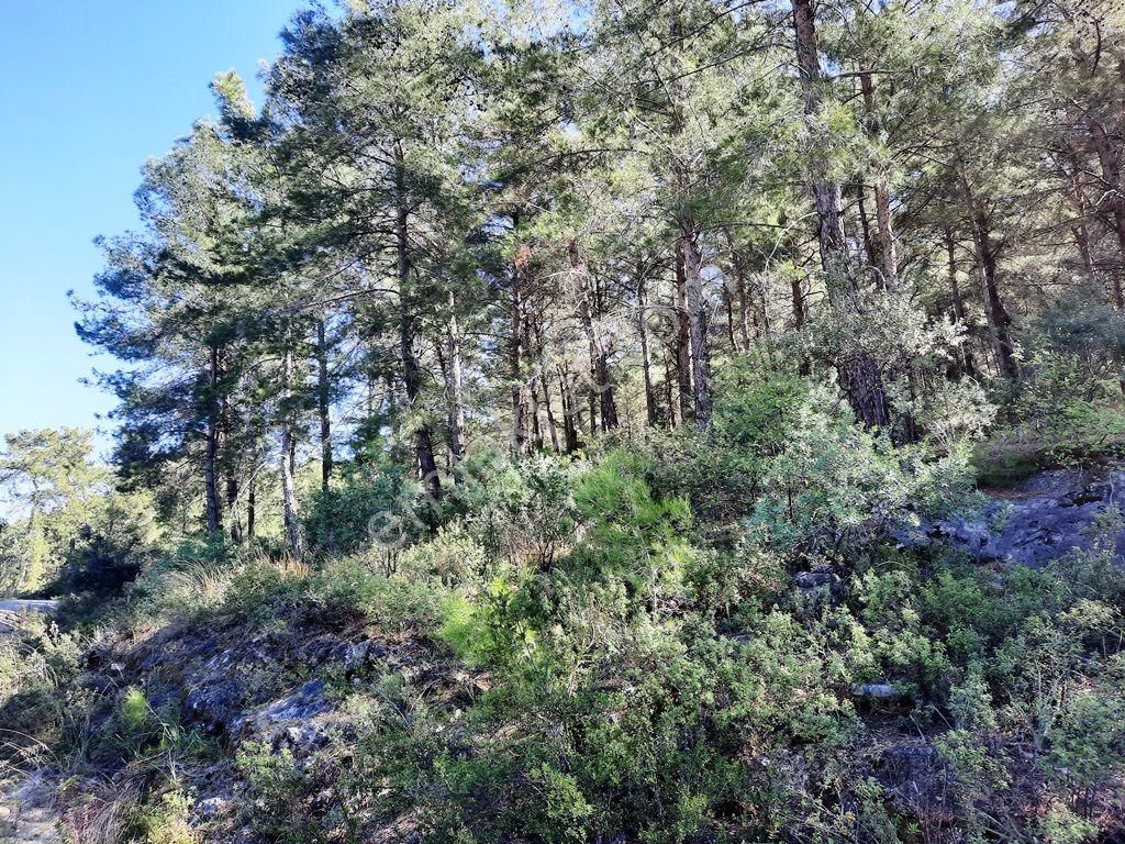 Mugla Dalaman Gürköy De 5 000m2 Yatırıma Uygun, Otel Arsası Müstakil Arazi Satılık - Görsel 17