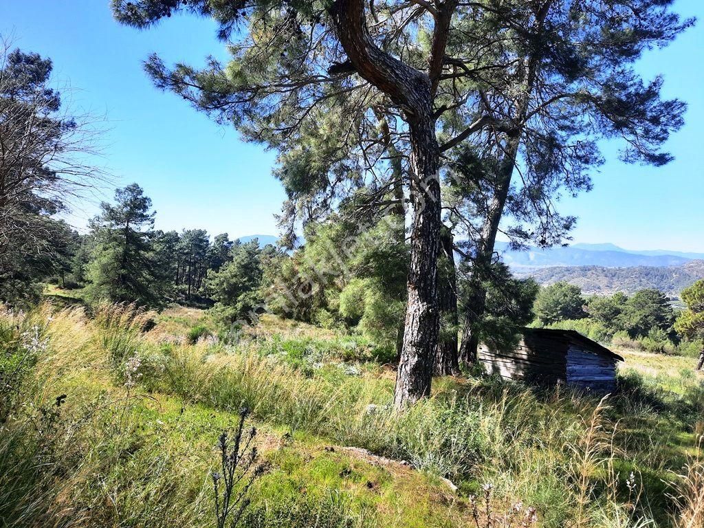 Mugla Dalaman Gürköy De 5 000m2 Yatırıma Uygun, Otel Arsası Müstakil Arazi Satılık - Görsel 12