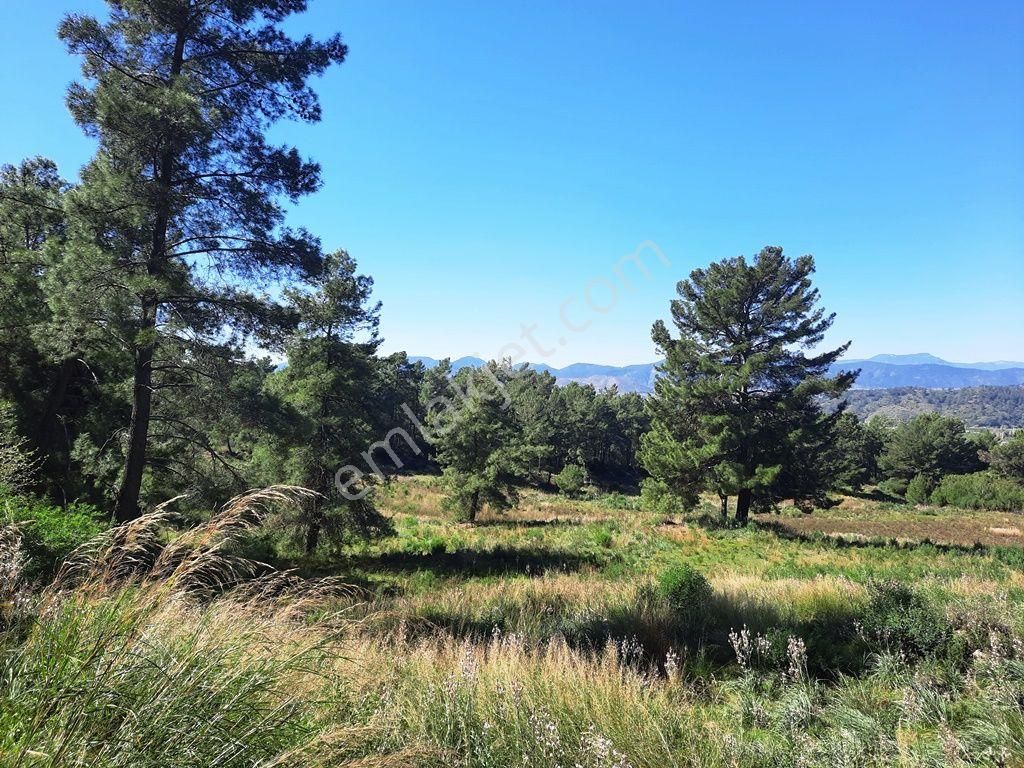 Mugla Dalaman Gürköy De 5 000m2 Yatırıma Uygun, Otel Arsası Müstakil Arazi Satılık