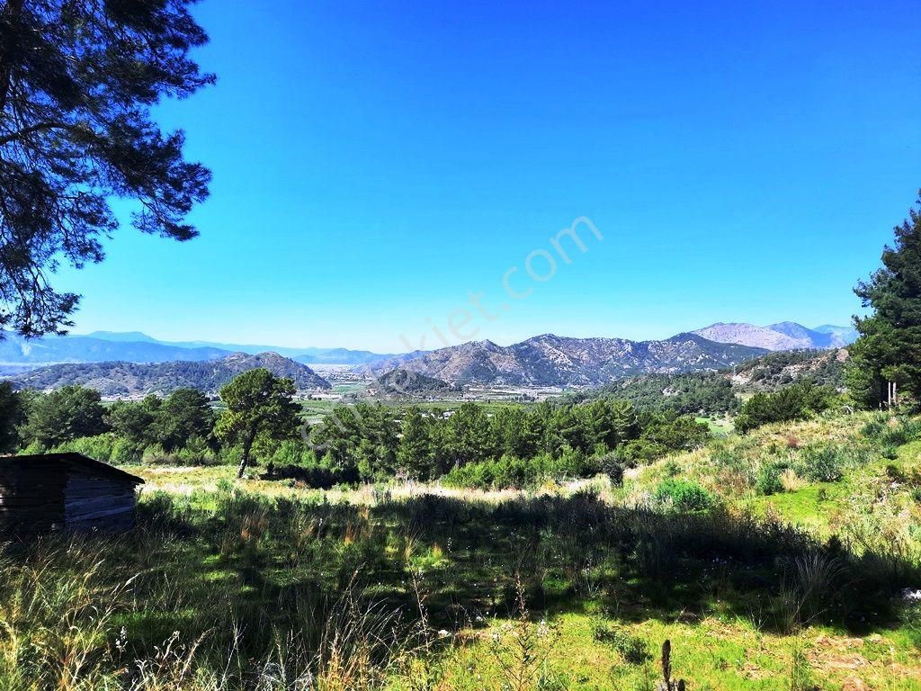 Mugla Dalaman Gürköy De 5 000m2 Yatırıma Uygun, Otel Arsası Müstakil Arazi Satılık - Görsel 11