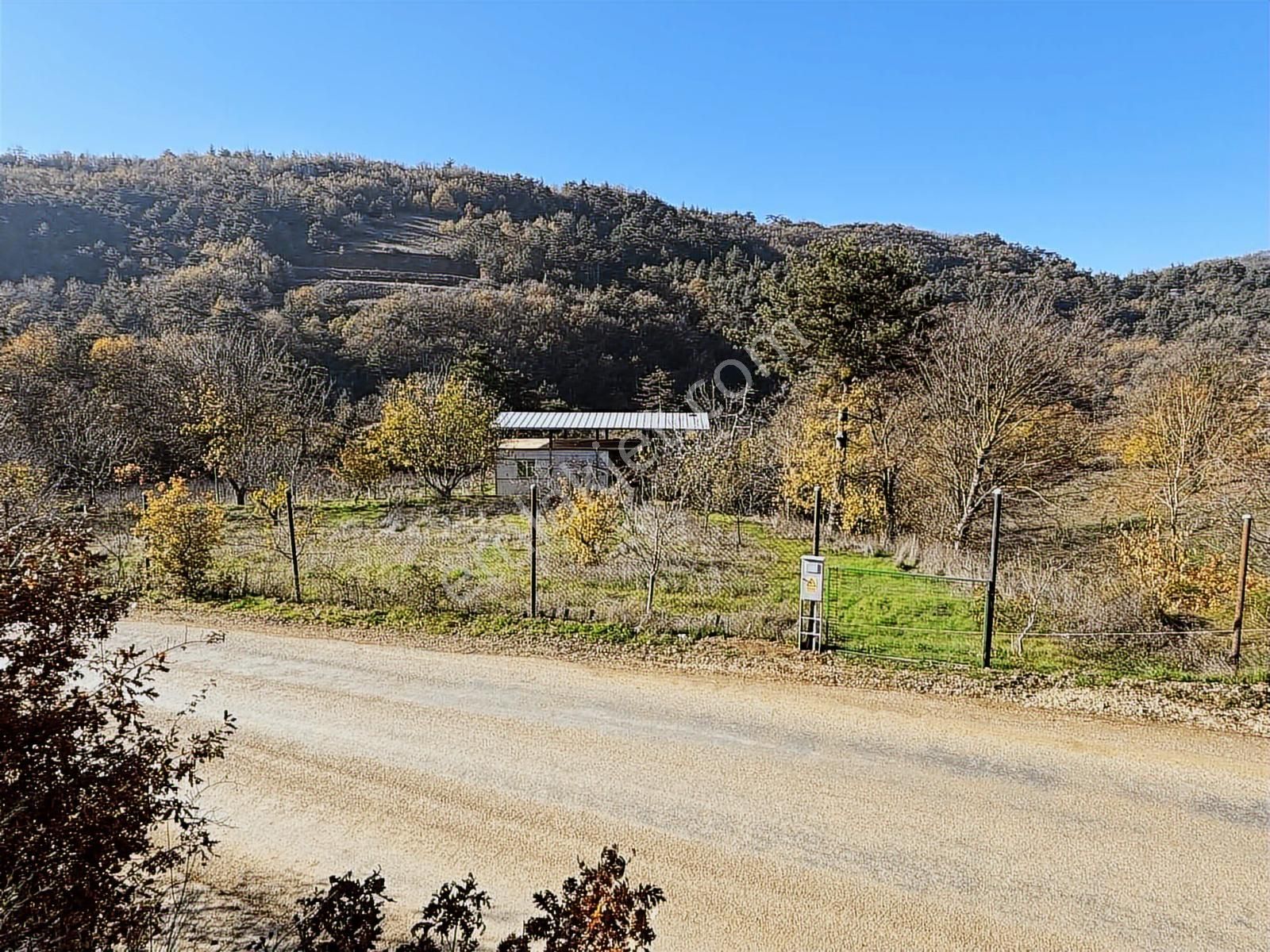 Dağyenice'de 3300 M2 Asfalt Cephe Satılık Arsa Ve Bina - Görsel 9
