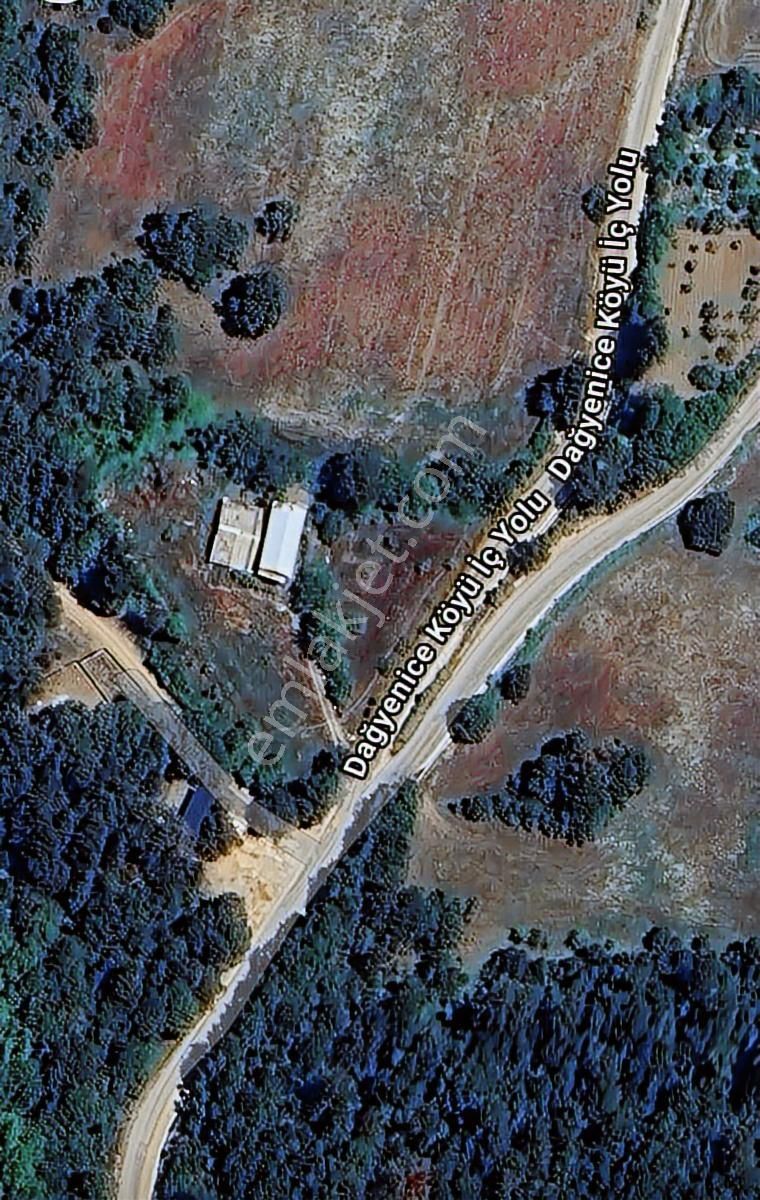 Dağyenice'de 3300 M2 Asfalt Cephe Satılık Arsa Ve Bina - Görsel 6